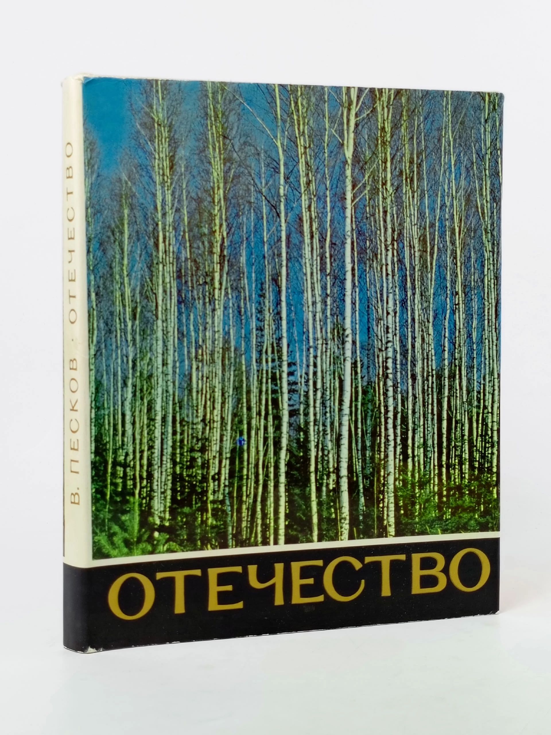 Обложка: Отечество Песков Василий Михайлович
