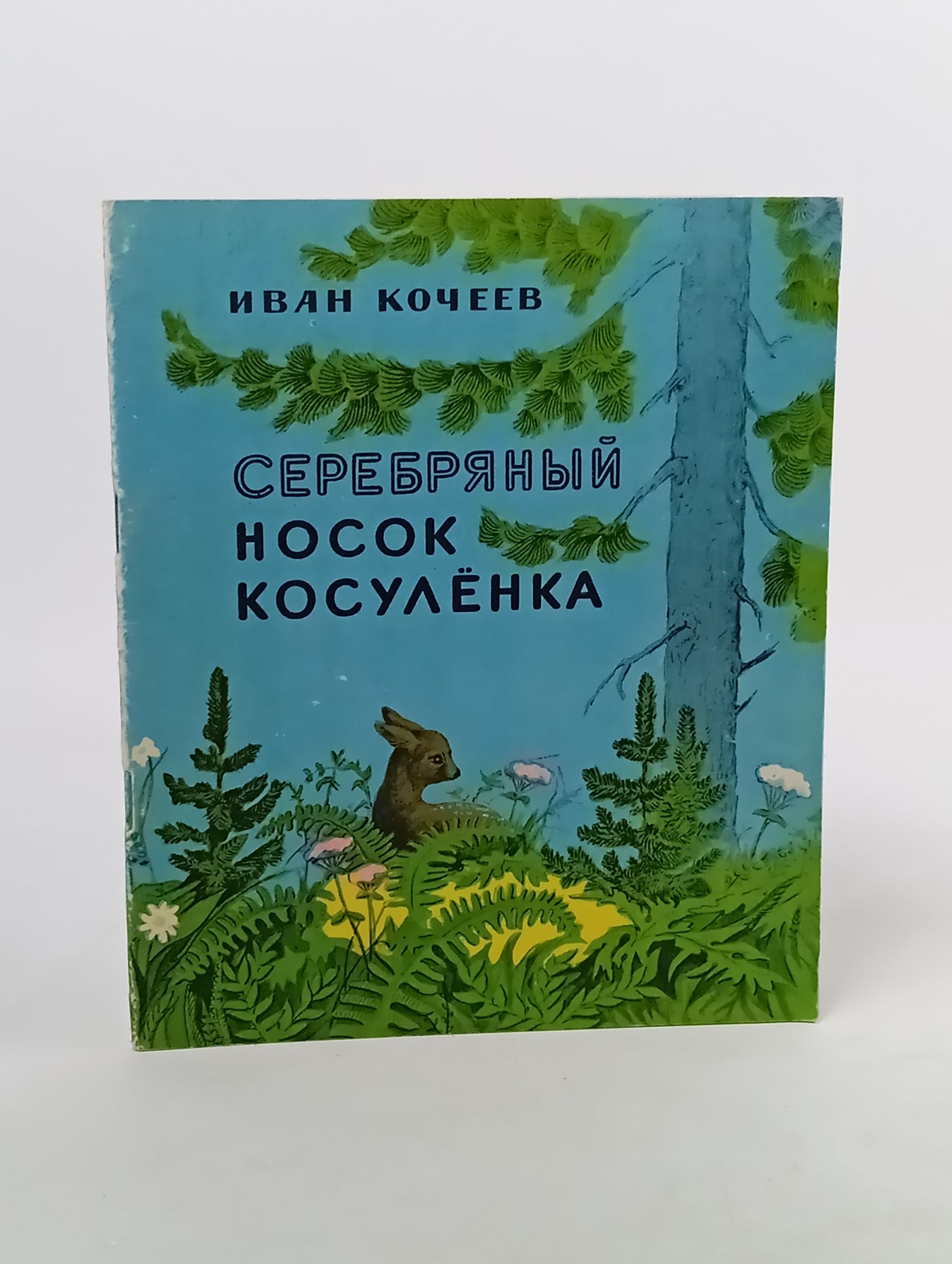 Обложка: Серебряный носок косулёнка