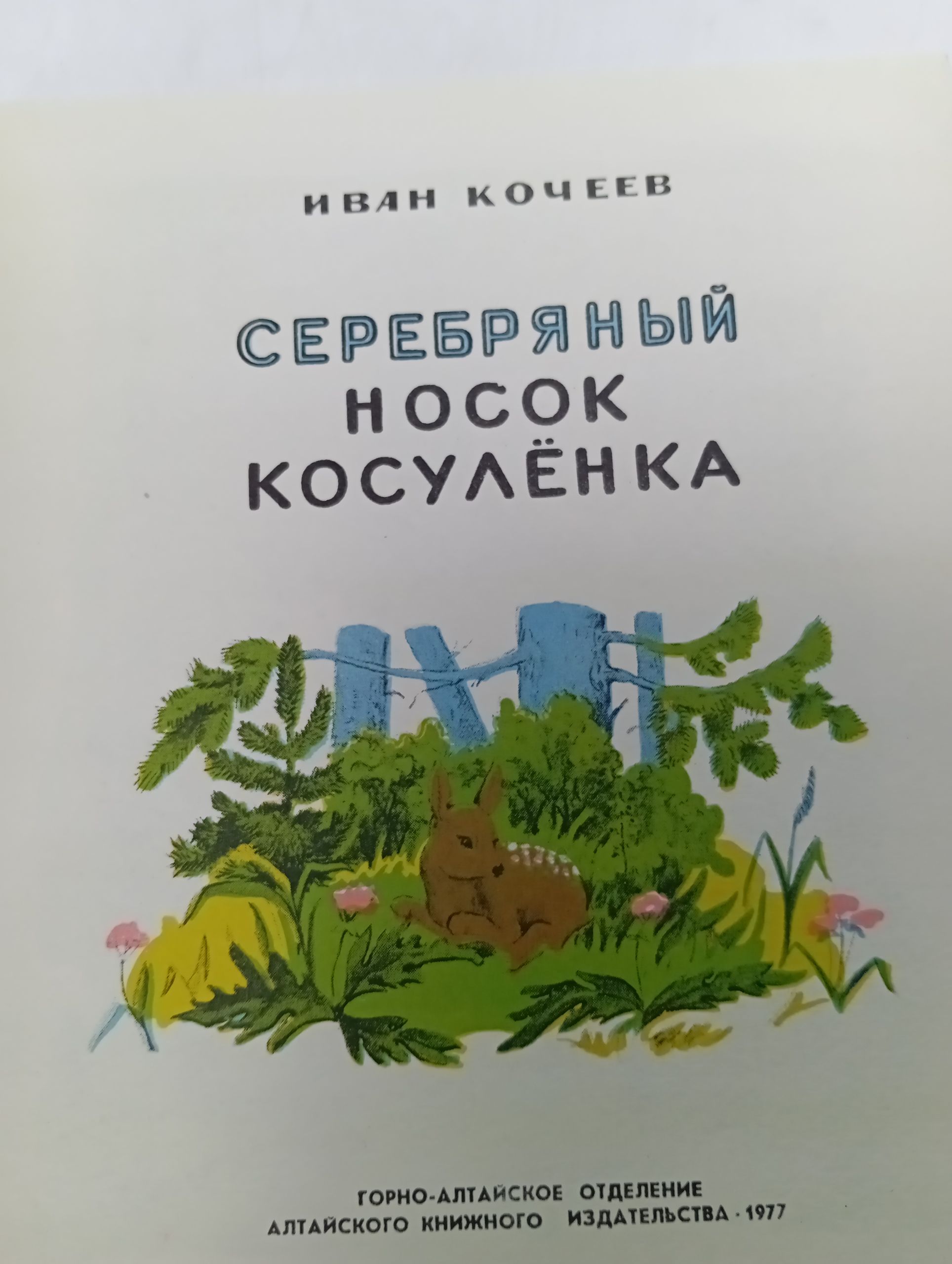 Серебряный носок косулёнка