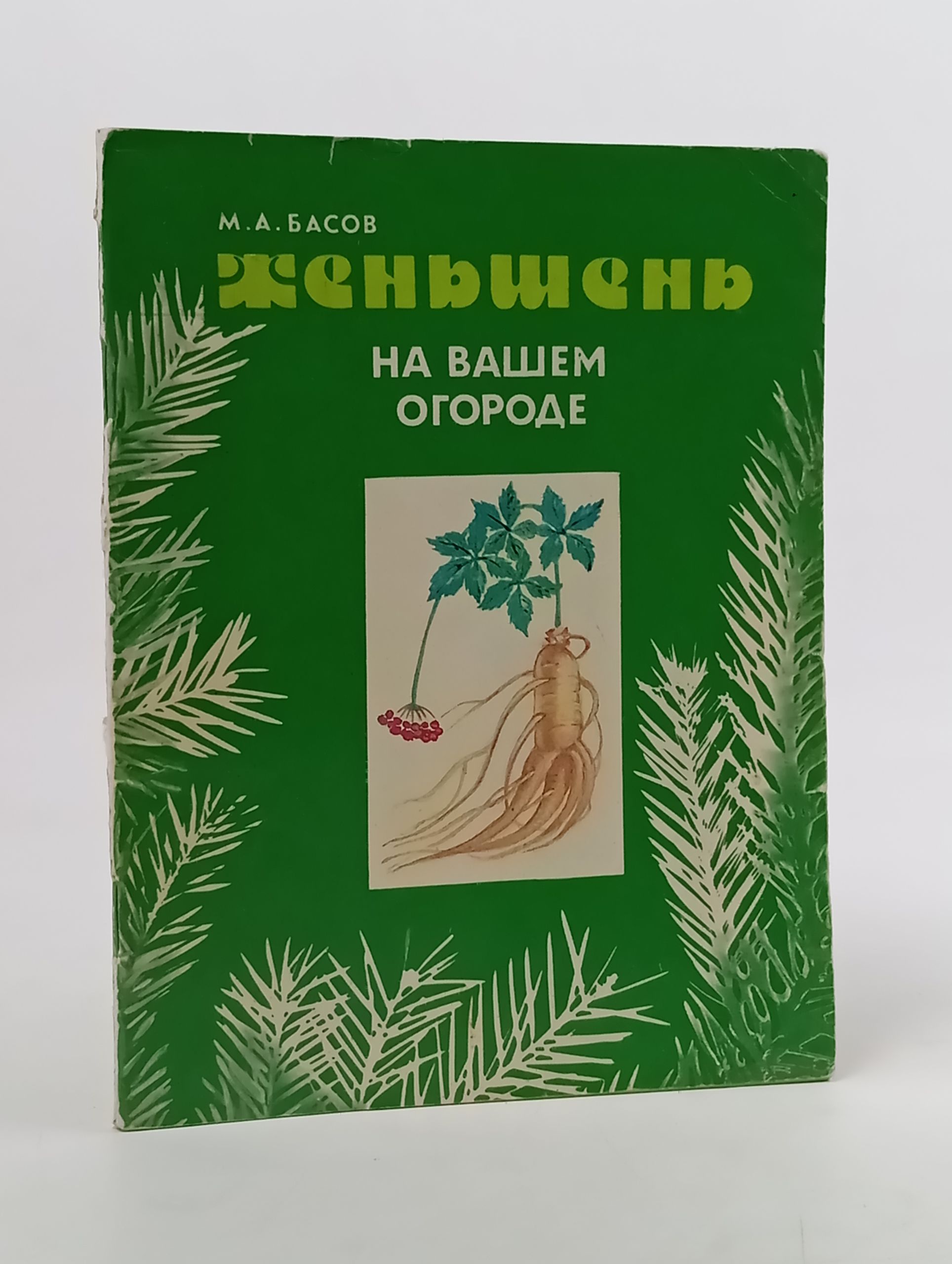 Обложка: Женьшень на вашем огороде