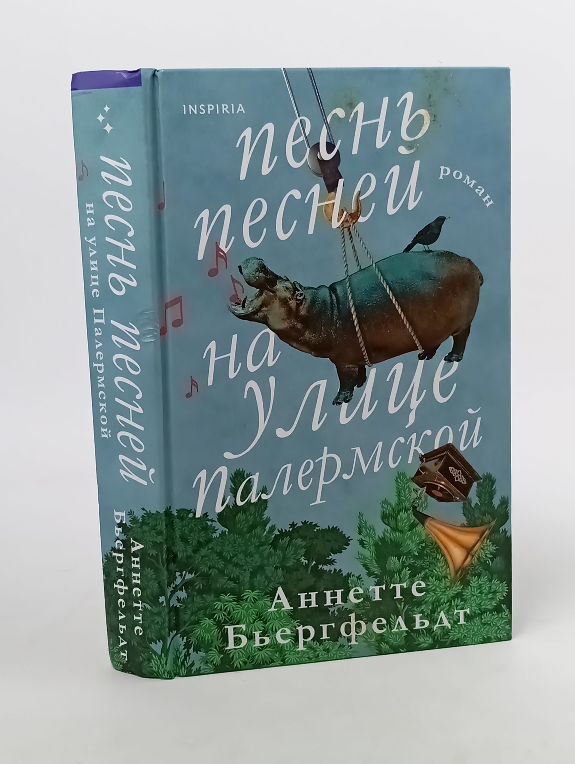 Обложка: Песнь песней на улице Палермской