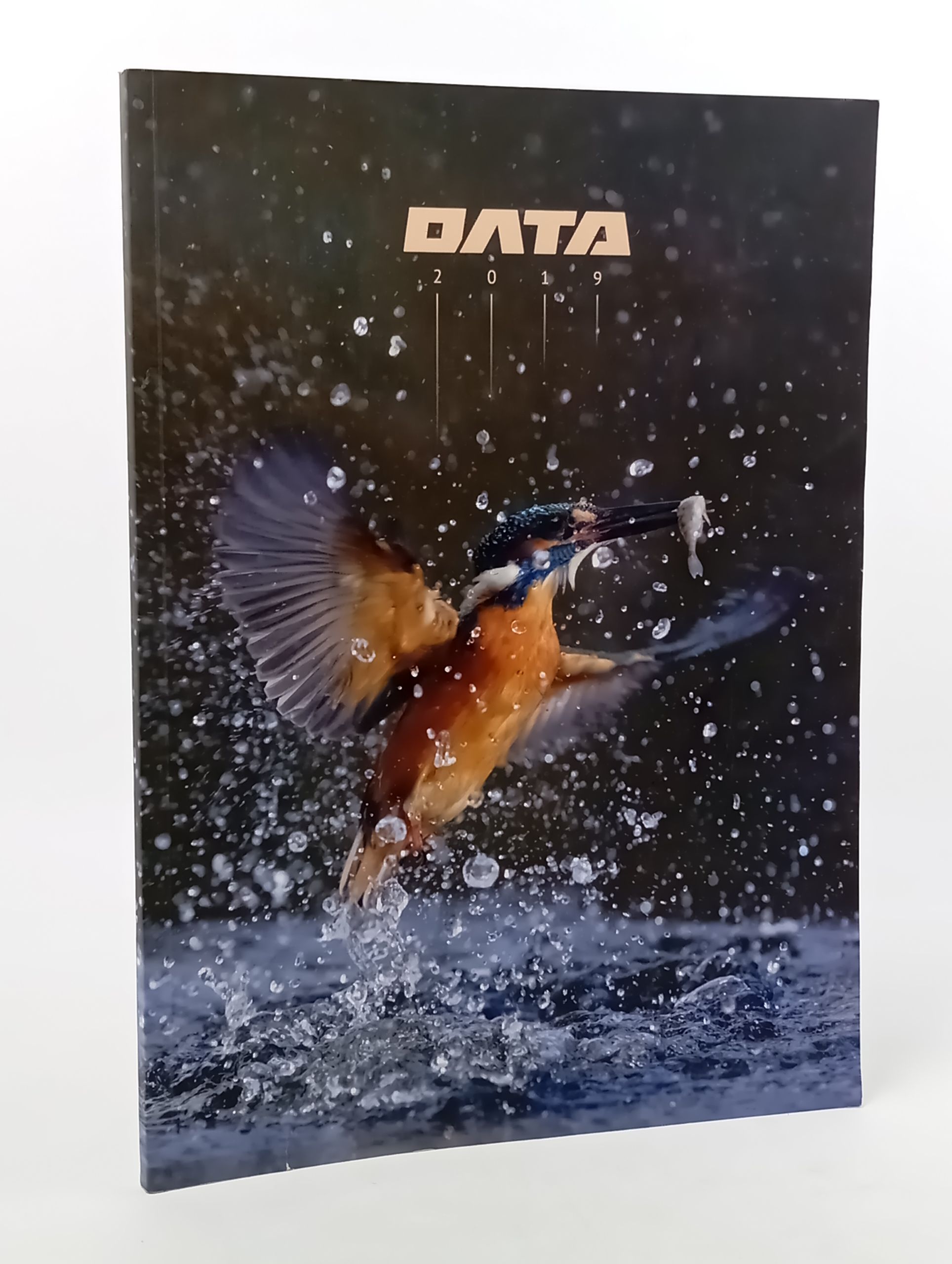 Обложка: Data 2019