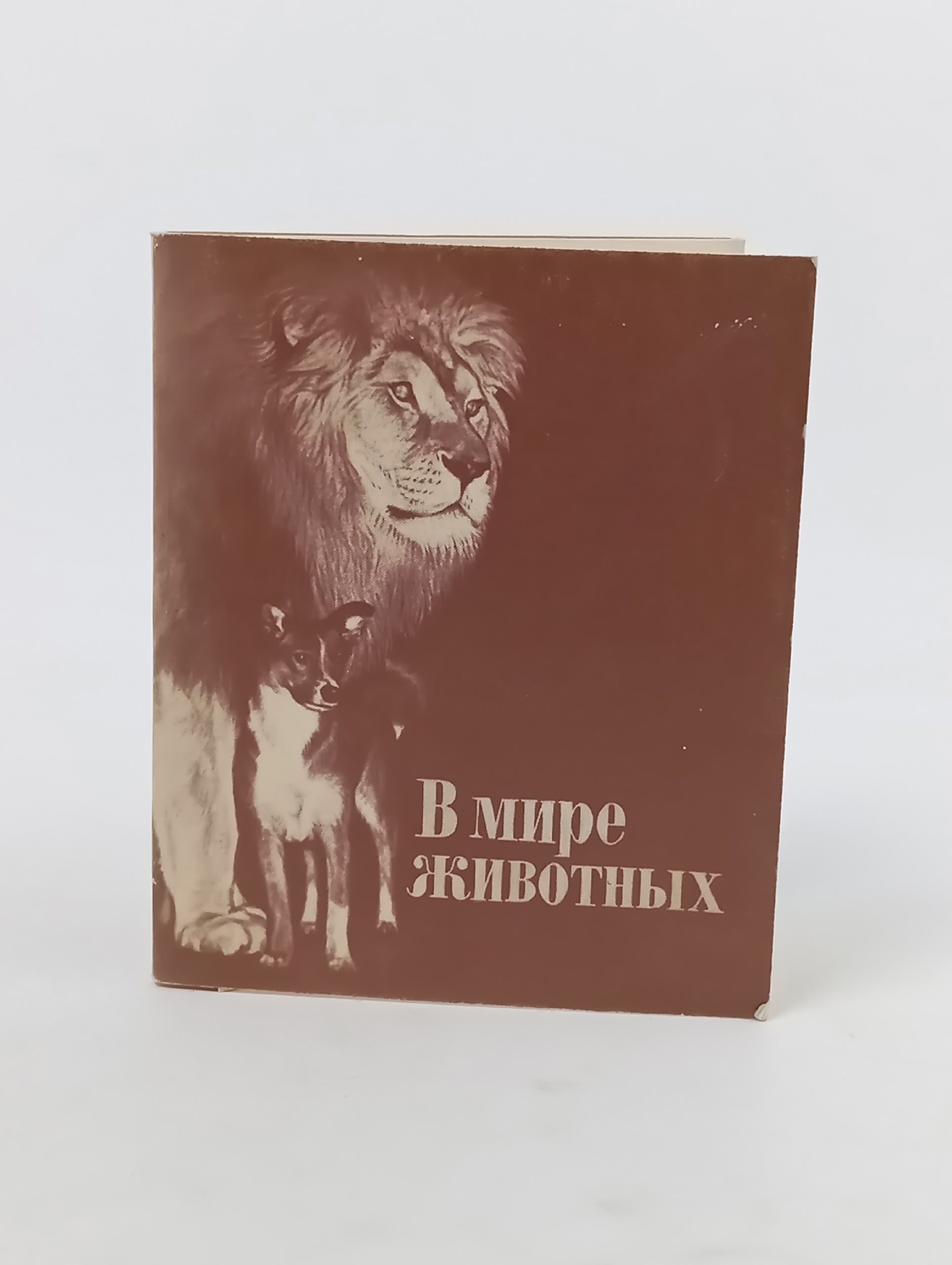 Обложка: Набор открыток В мире животных 18 шт