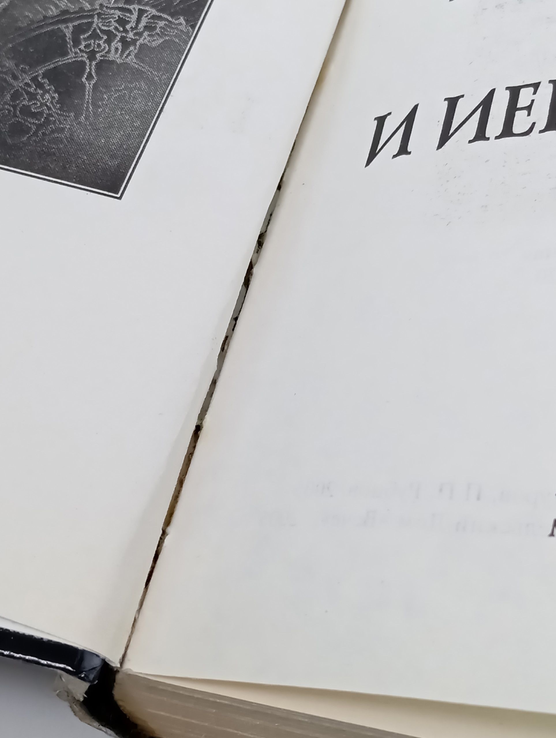 Тайнопись букв и иероглифов Эльдемуров Феликс Петрович, Рубцов Петр Павлович