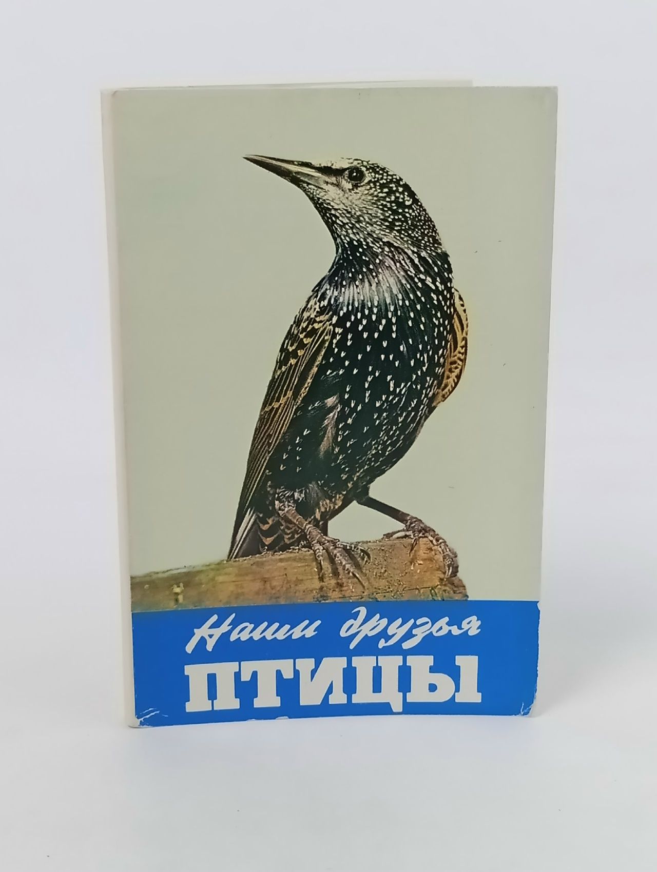 Обложка: Наши друзья птицы. Почтовые открытки (Комплект из 18 открыток)