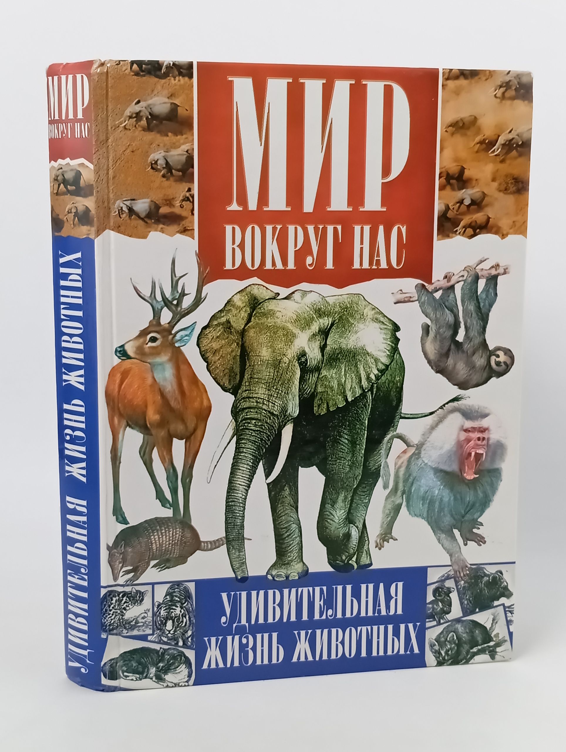Обложка: Мир вокруг нас: Удивительная жизнь животных