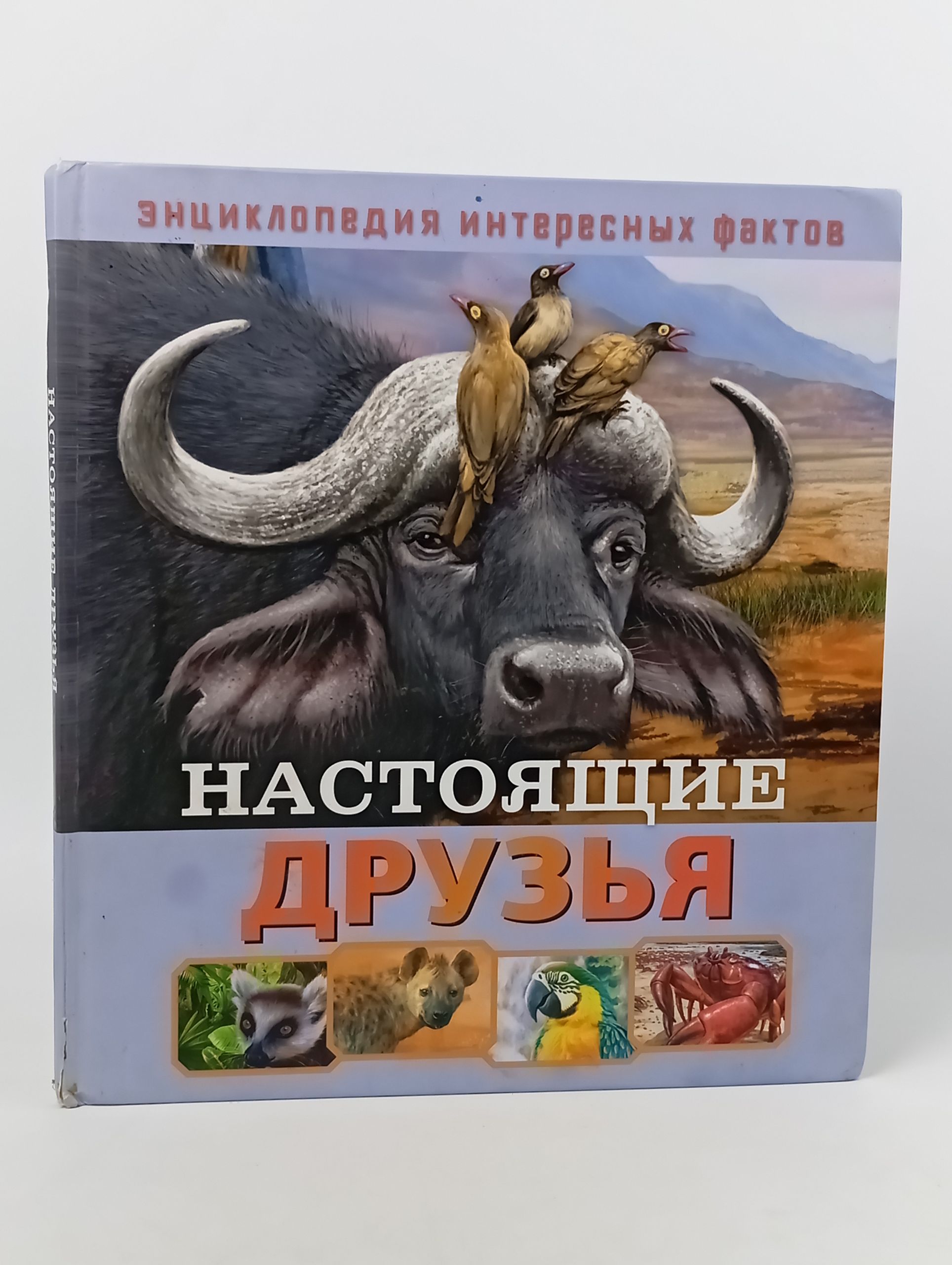 Обложка: Настоящие друзья