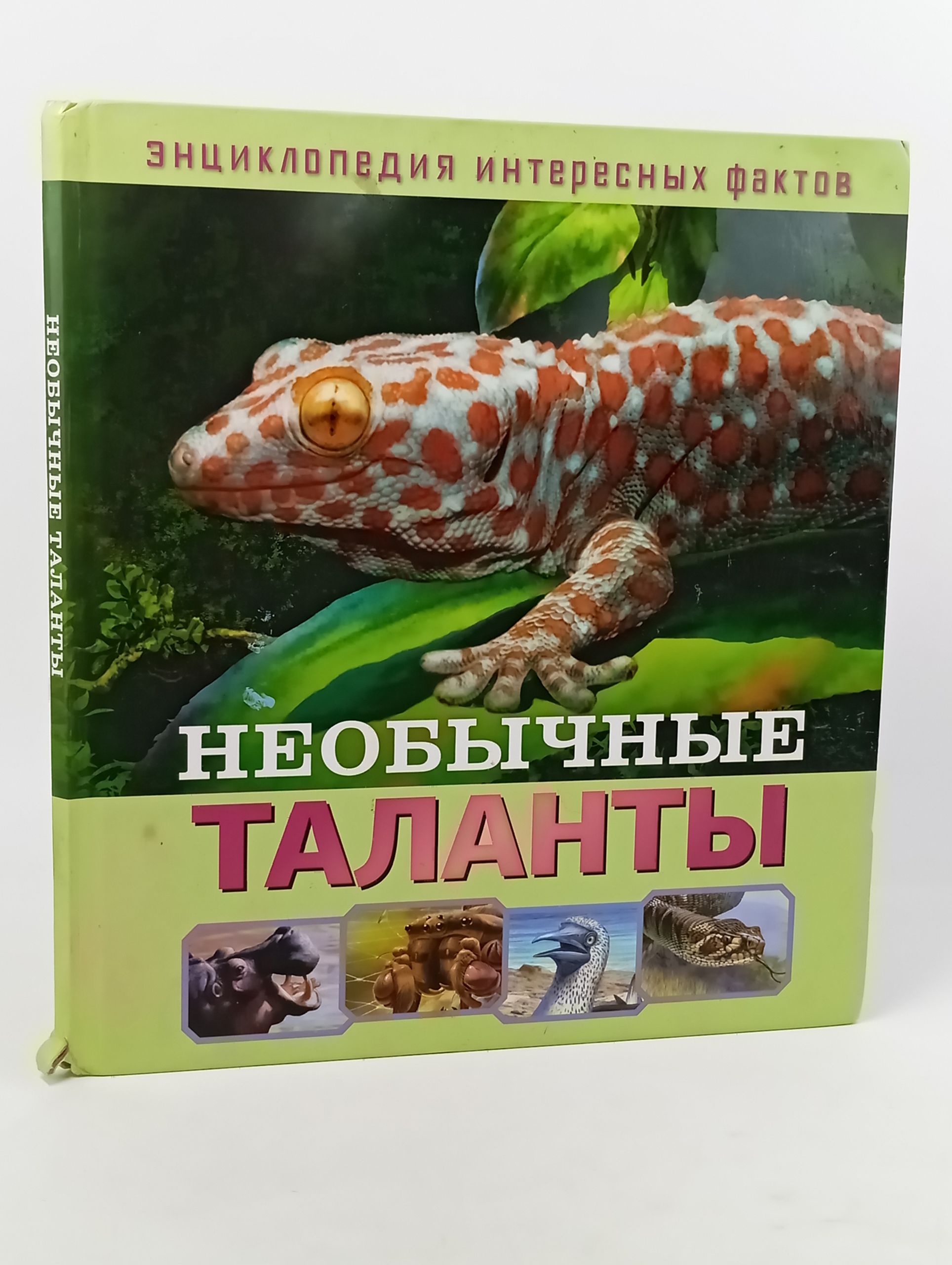 Обложка: Необычные таланты