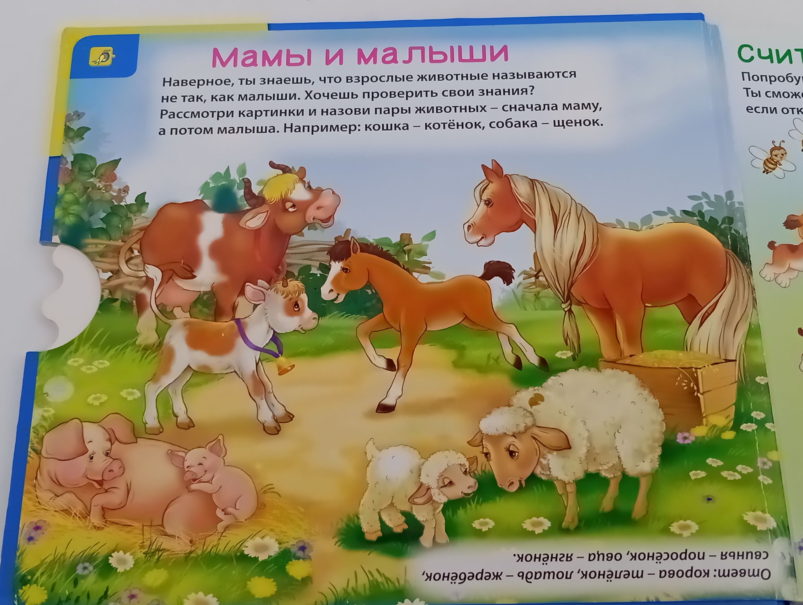 Школа Зверят. Развивающие игровые задания