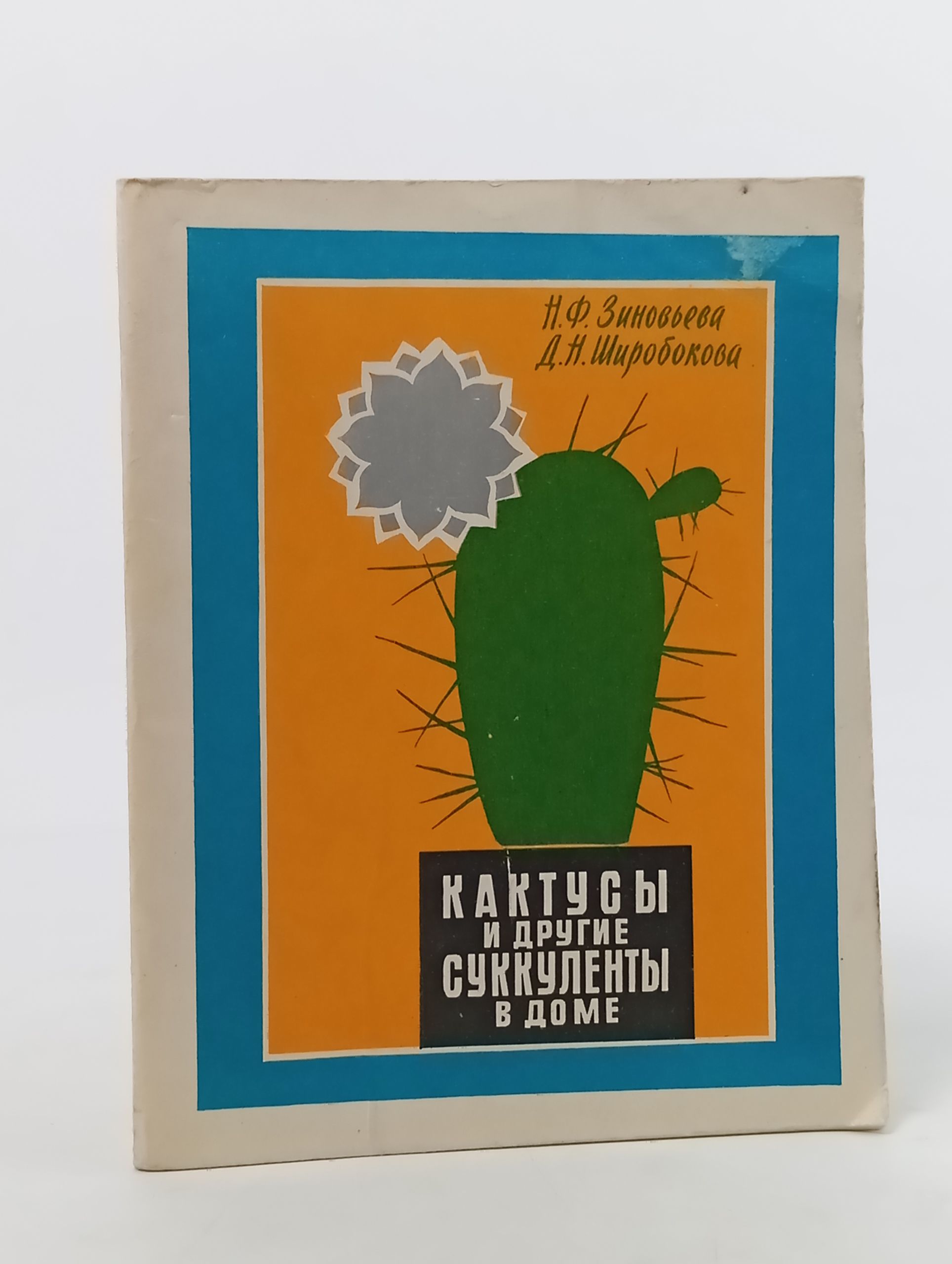 Обложка: Кактусы и другие суккуленты в доме