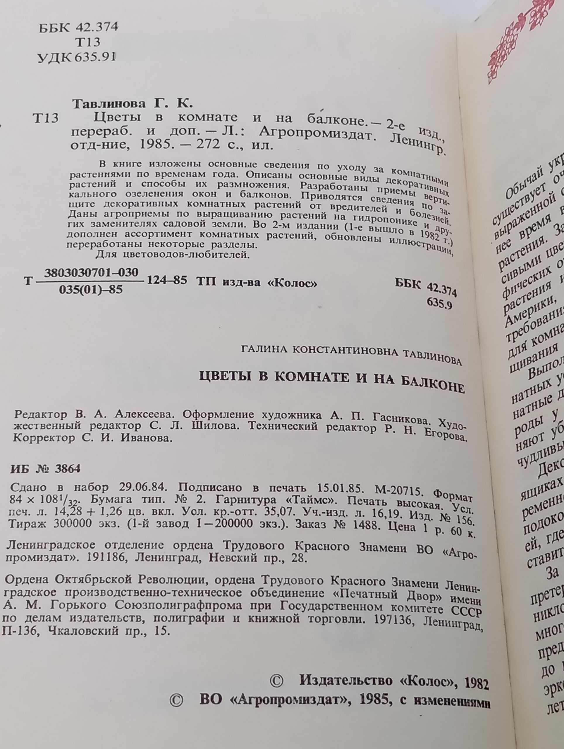 Цветы в комнате и на балконе