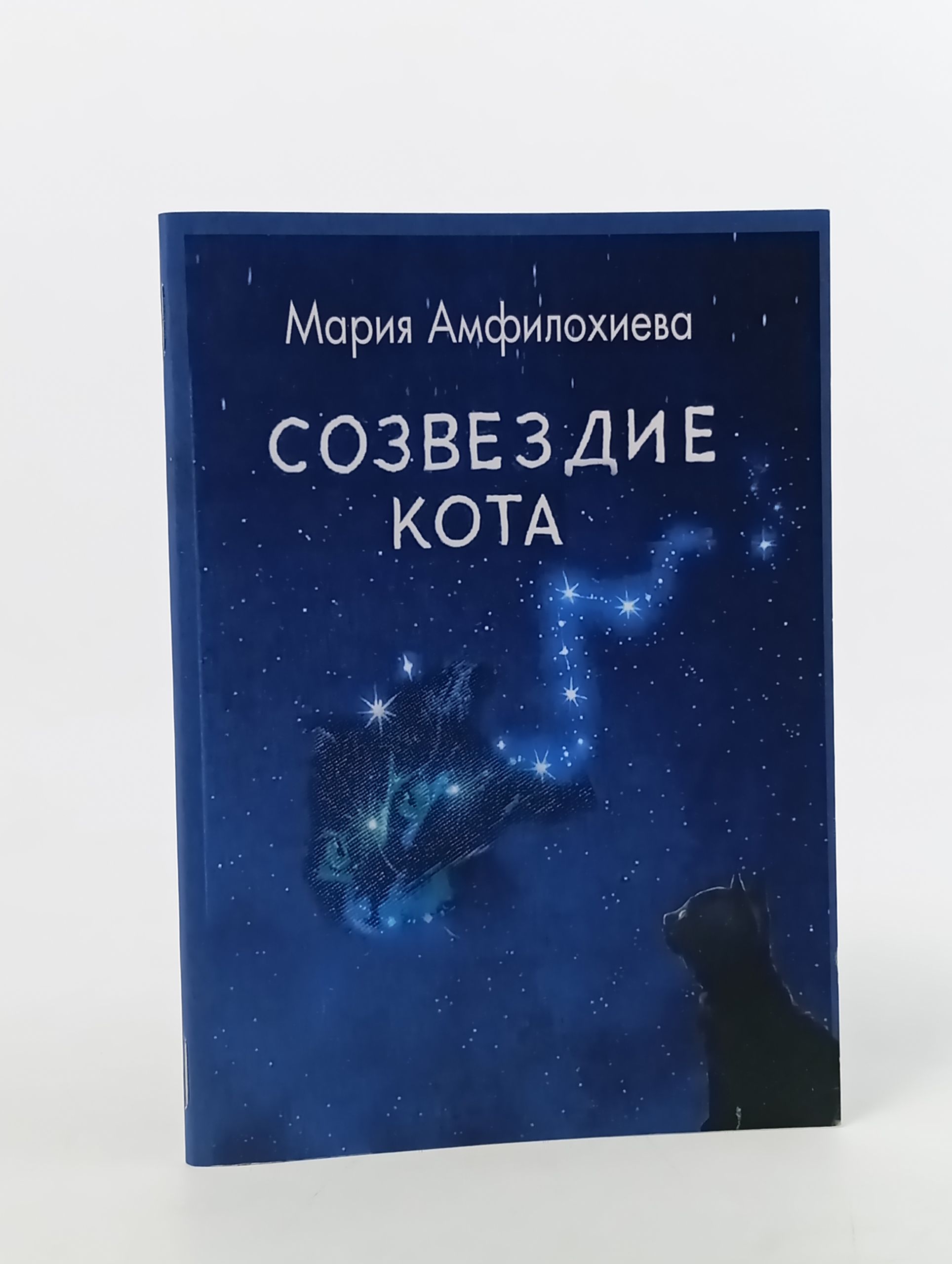 Обложка: Созвездие кота