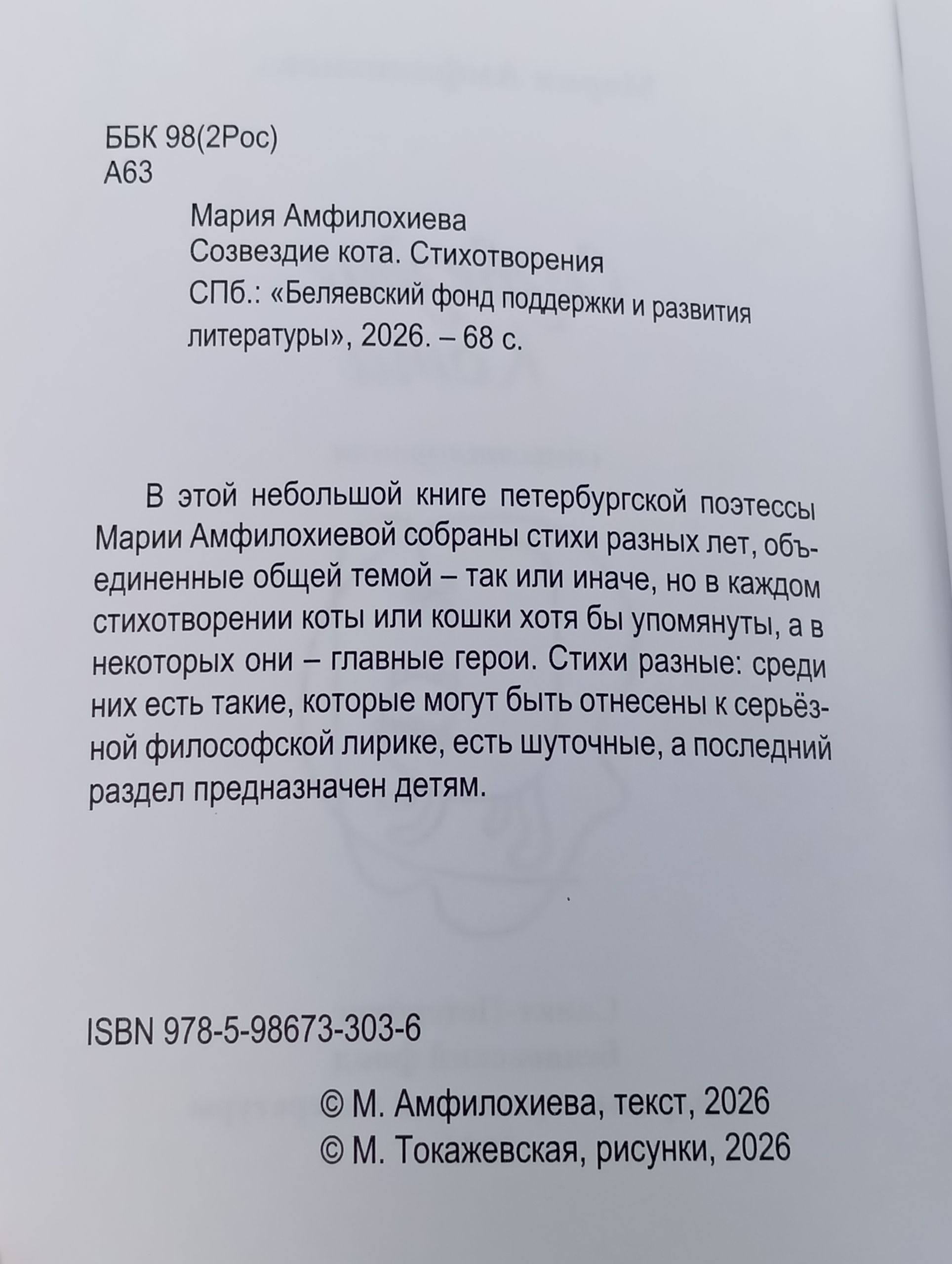 Созвездие кота