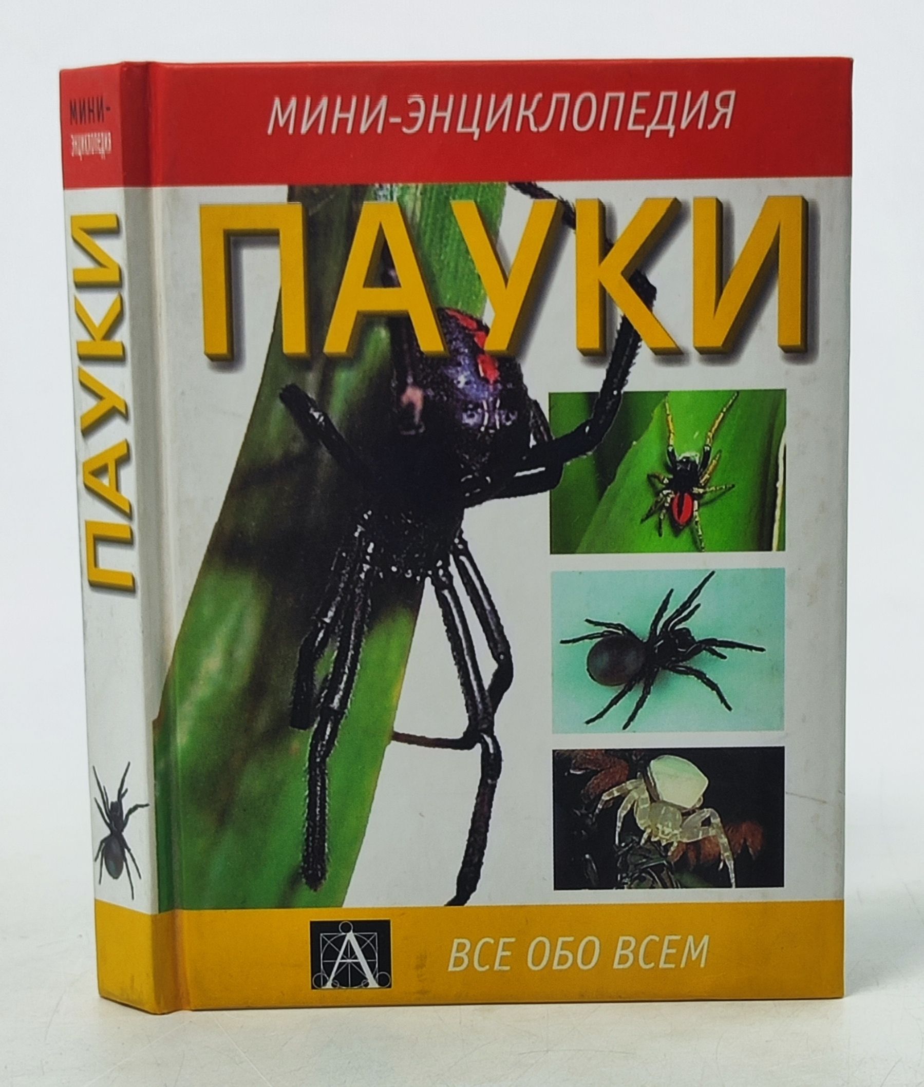 Обложка: Пауки