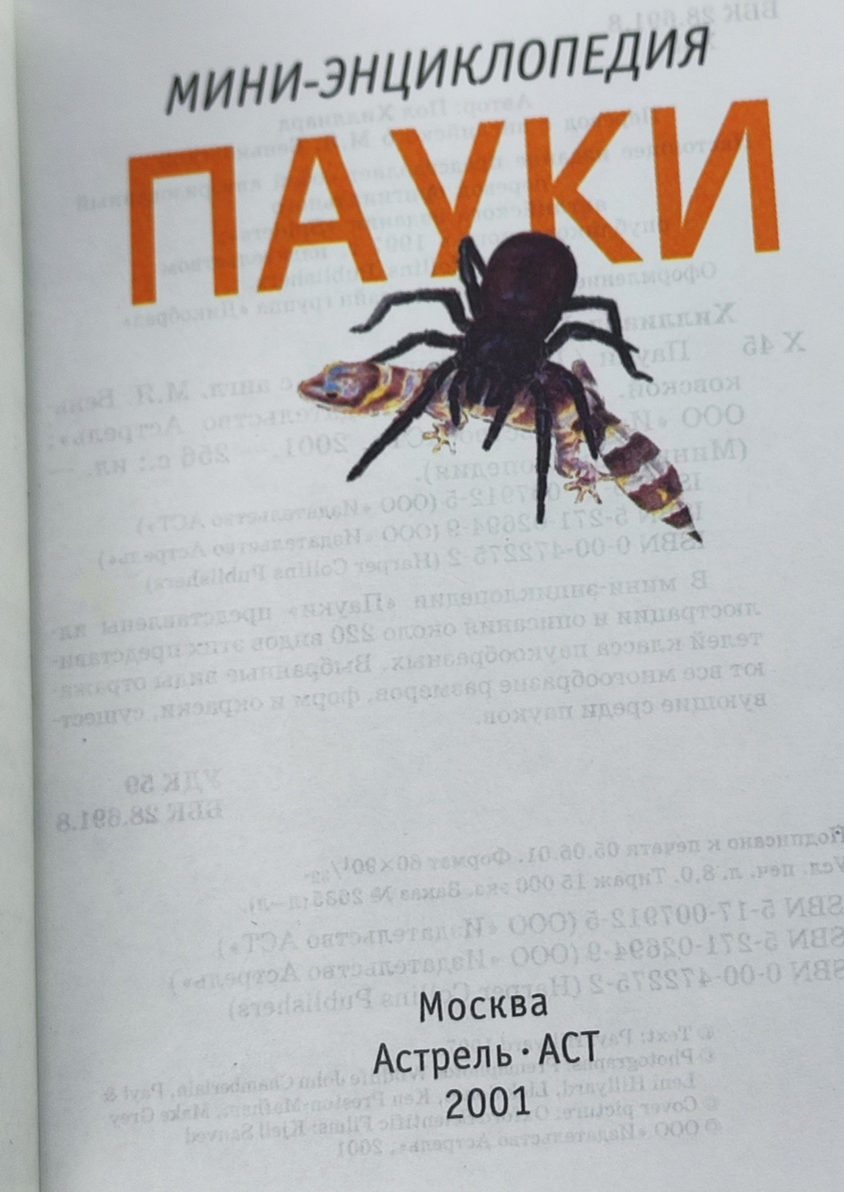 Пауки