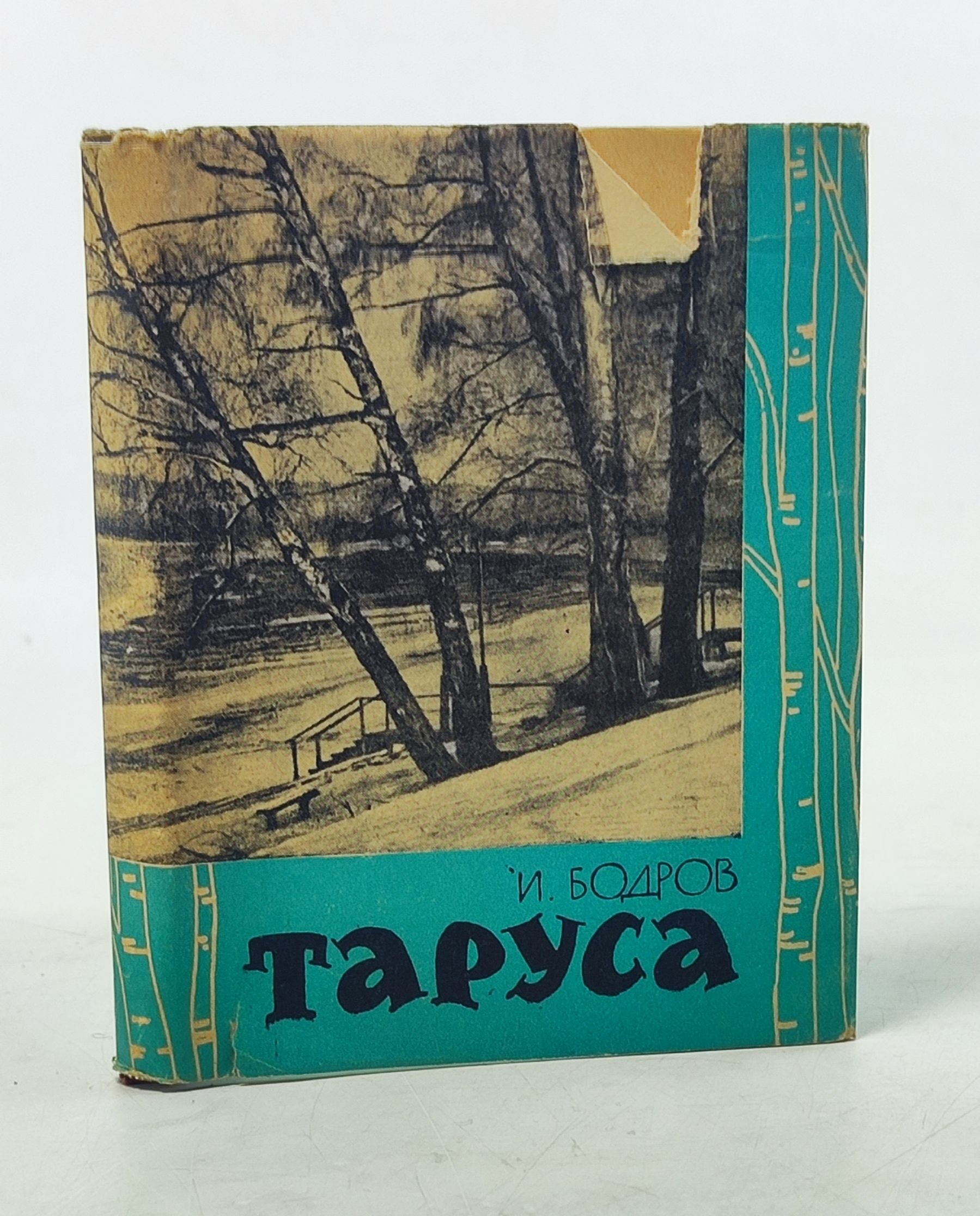 Обложка: Таруса