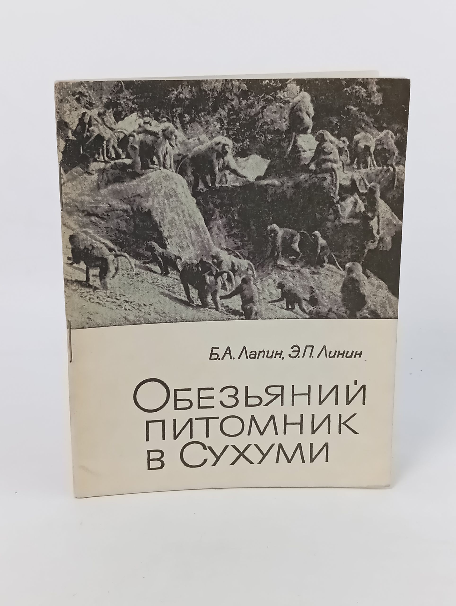 Обложка: Обезьянии питомник в Сухуми