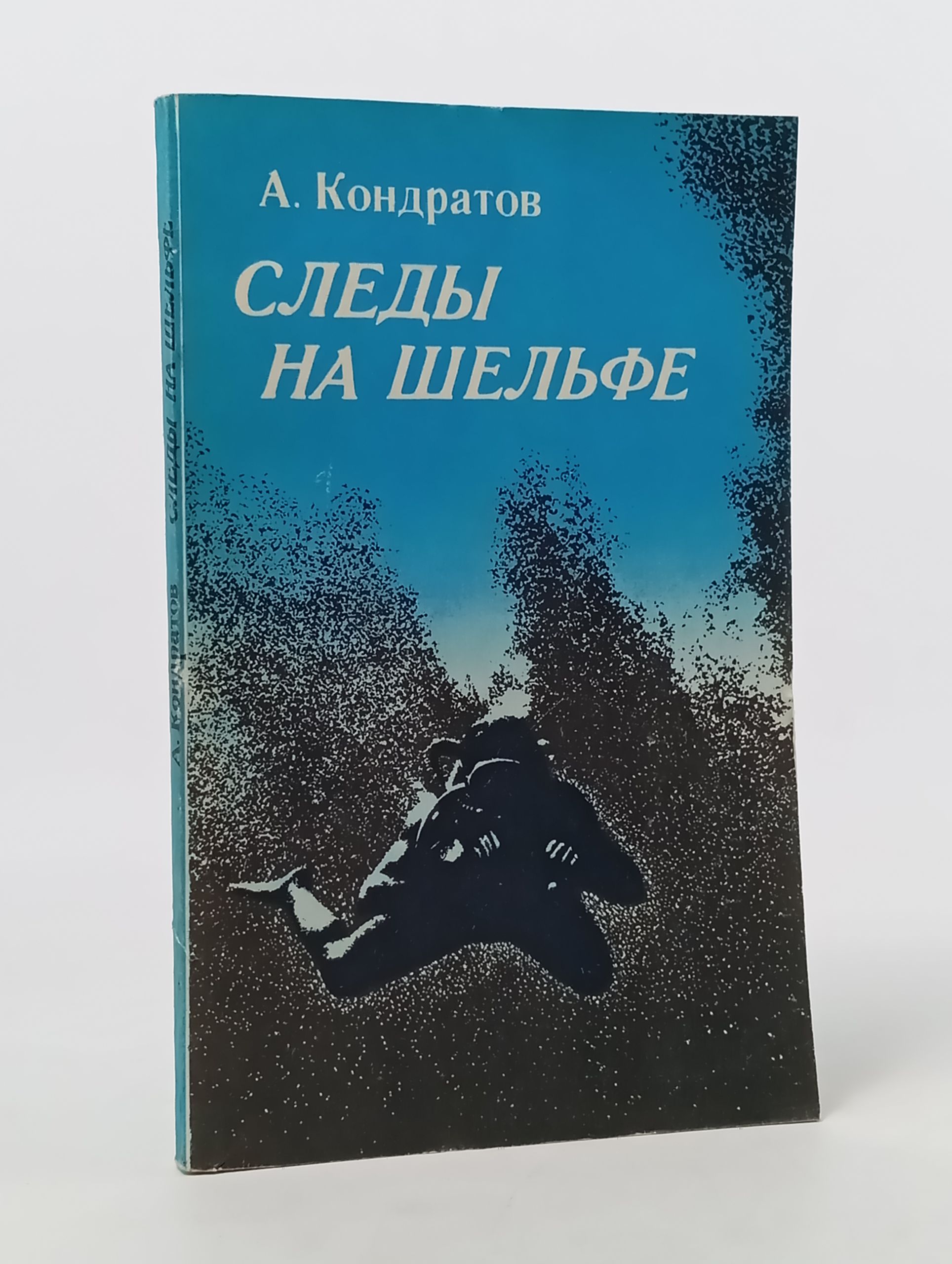 Обложка: Следы на шельфе