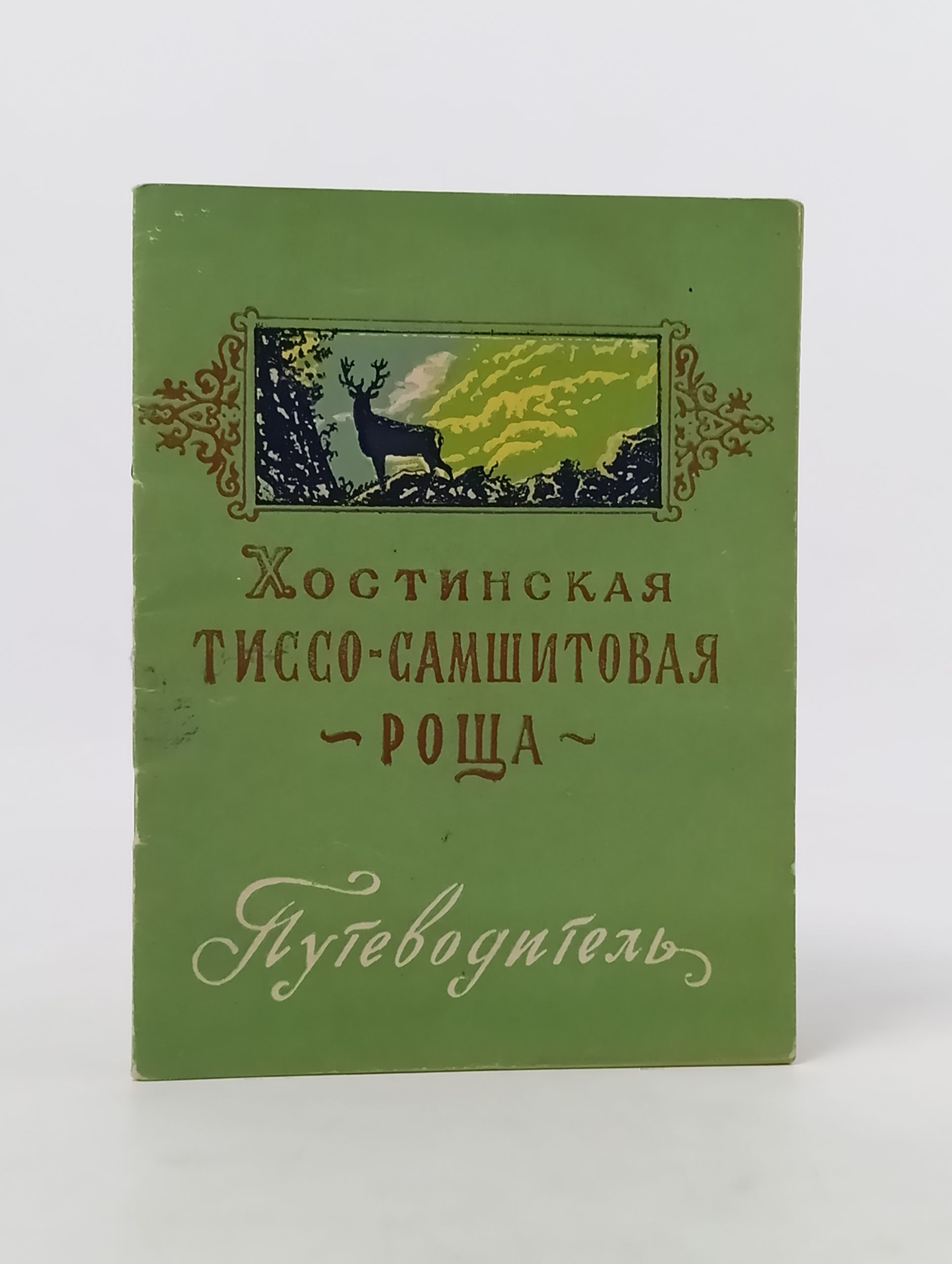 Обложка: Хостинская тиссо-самшитовая роща. Путеводитель