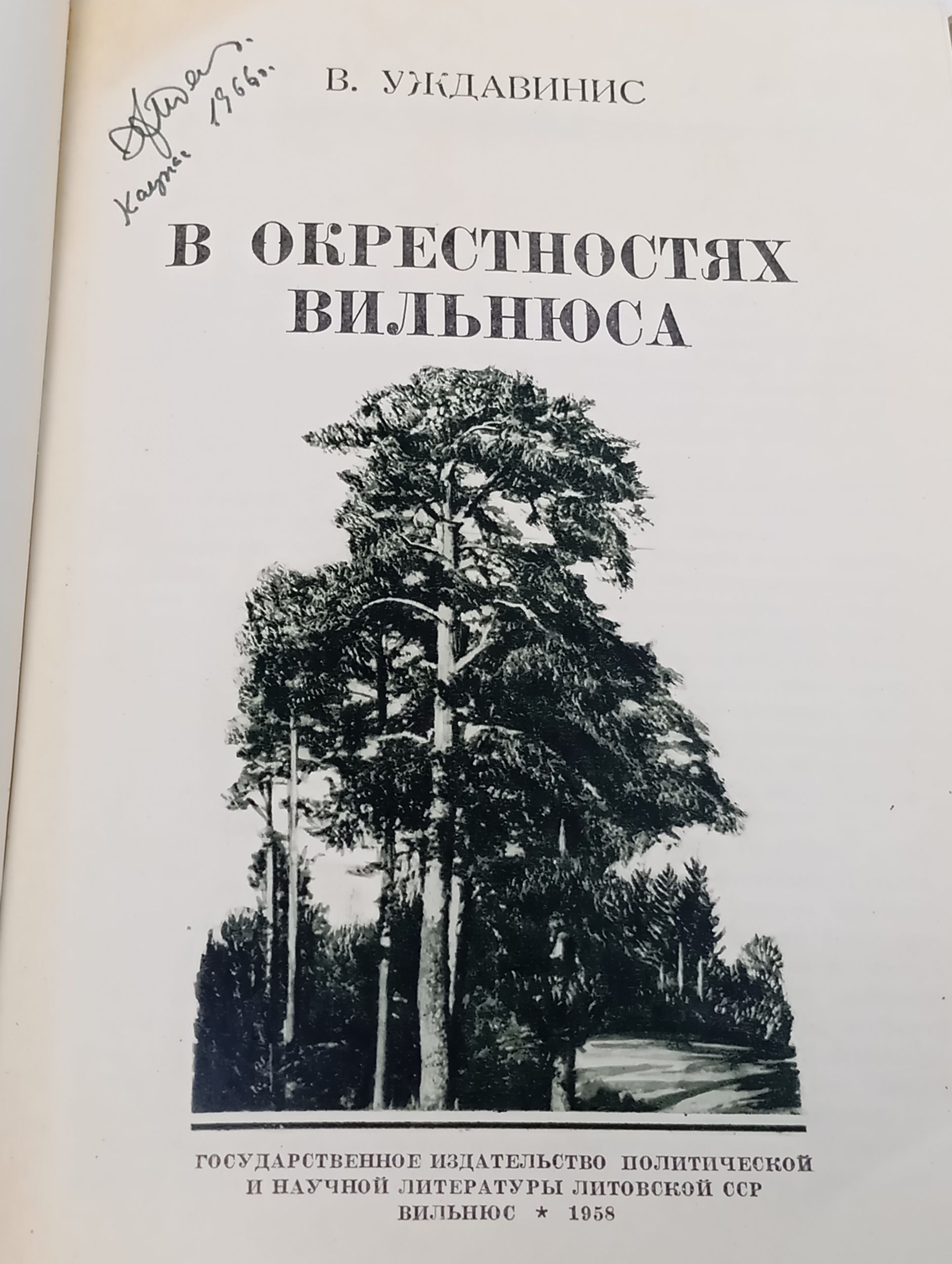 В окрестностях Вильнюса