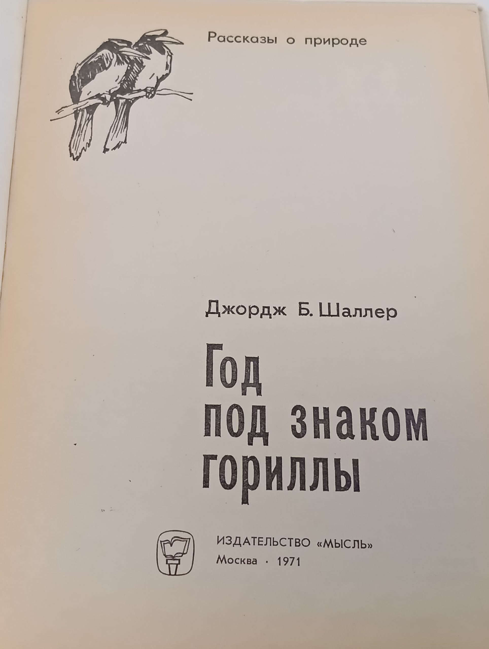 Год под знаком гориллы