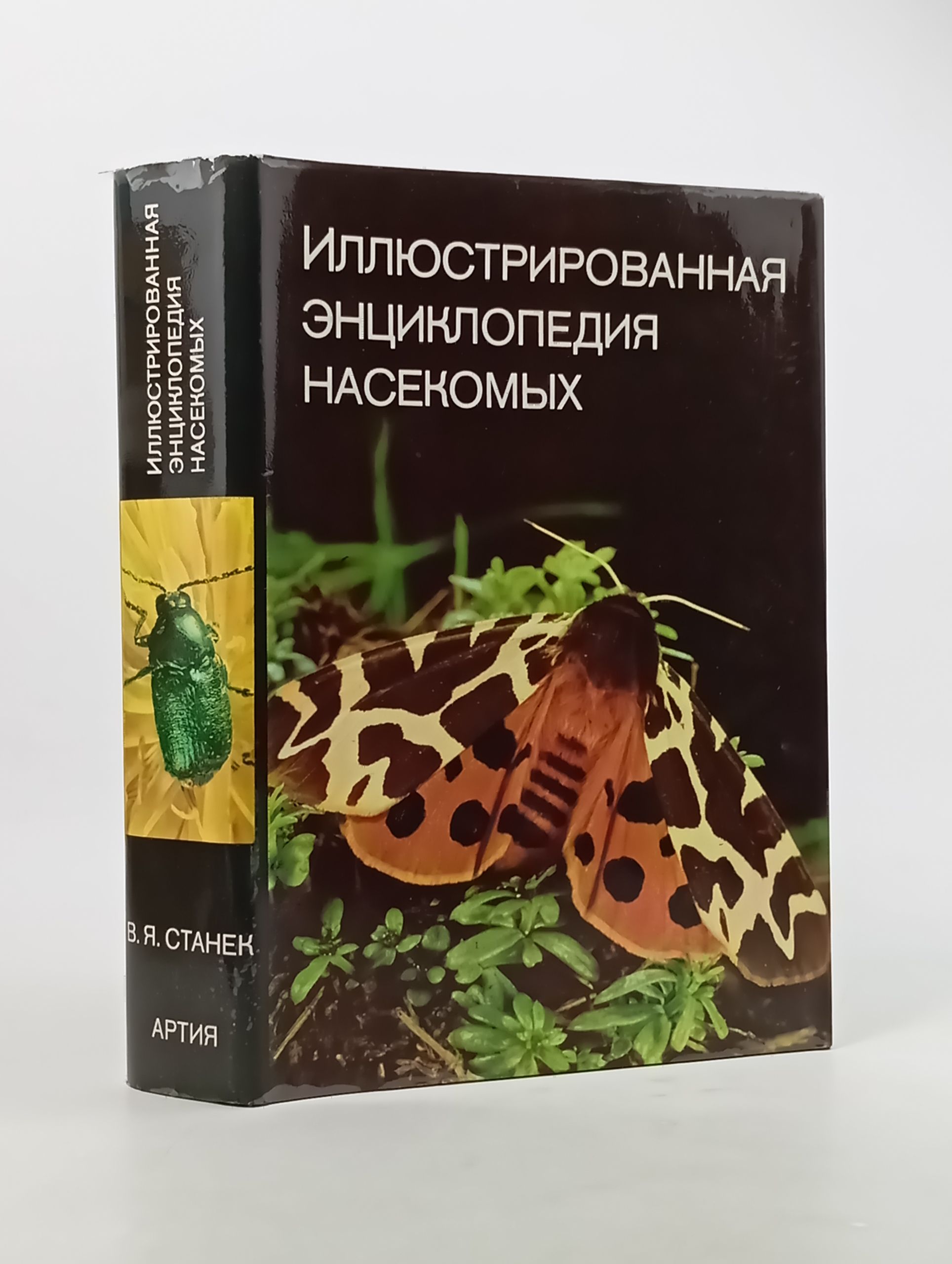 Обложка: Иллюстрированная энциклопедия насекомых