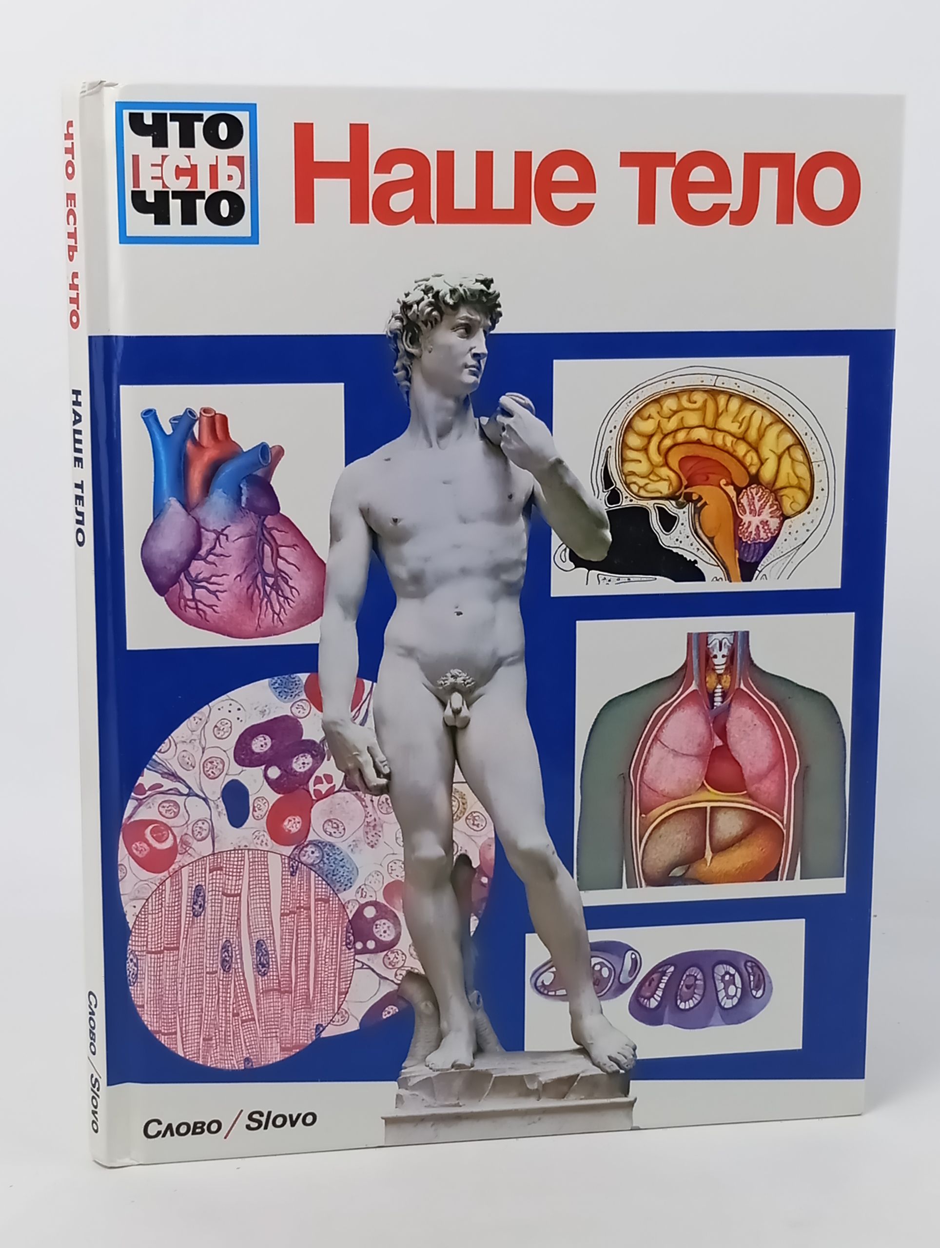 Обложка: Наше тело