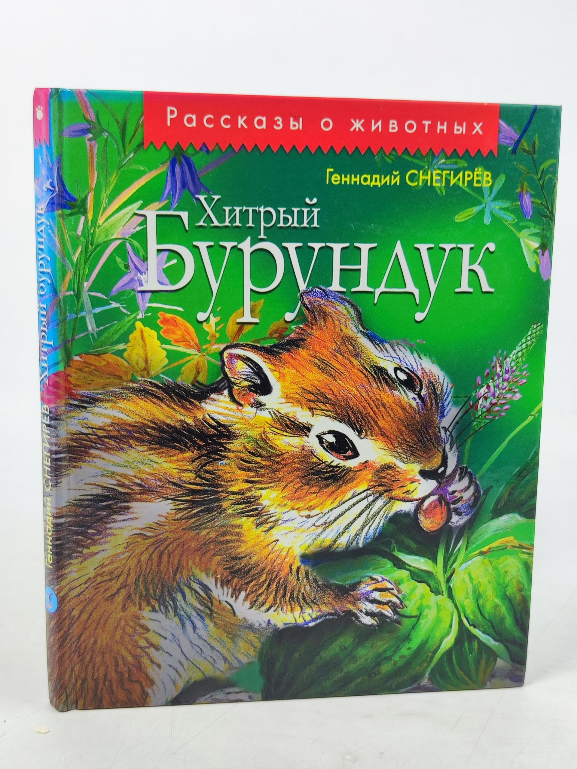 Обложка: Хитрыи бурундук
