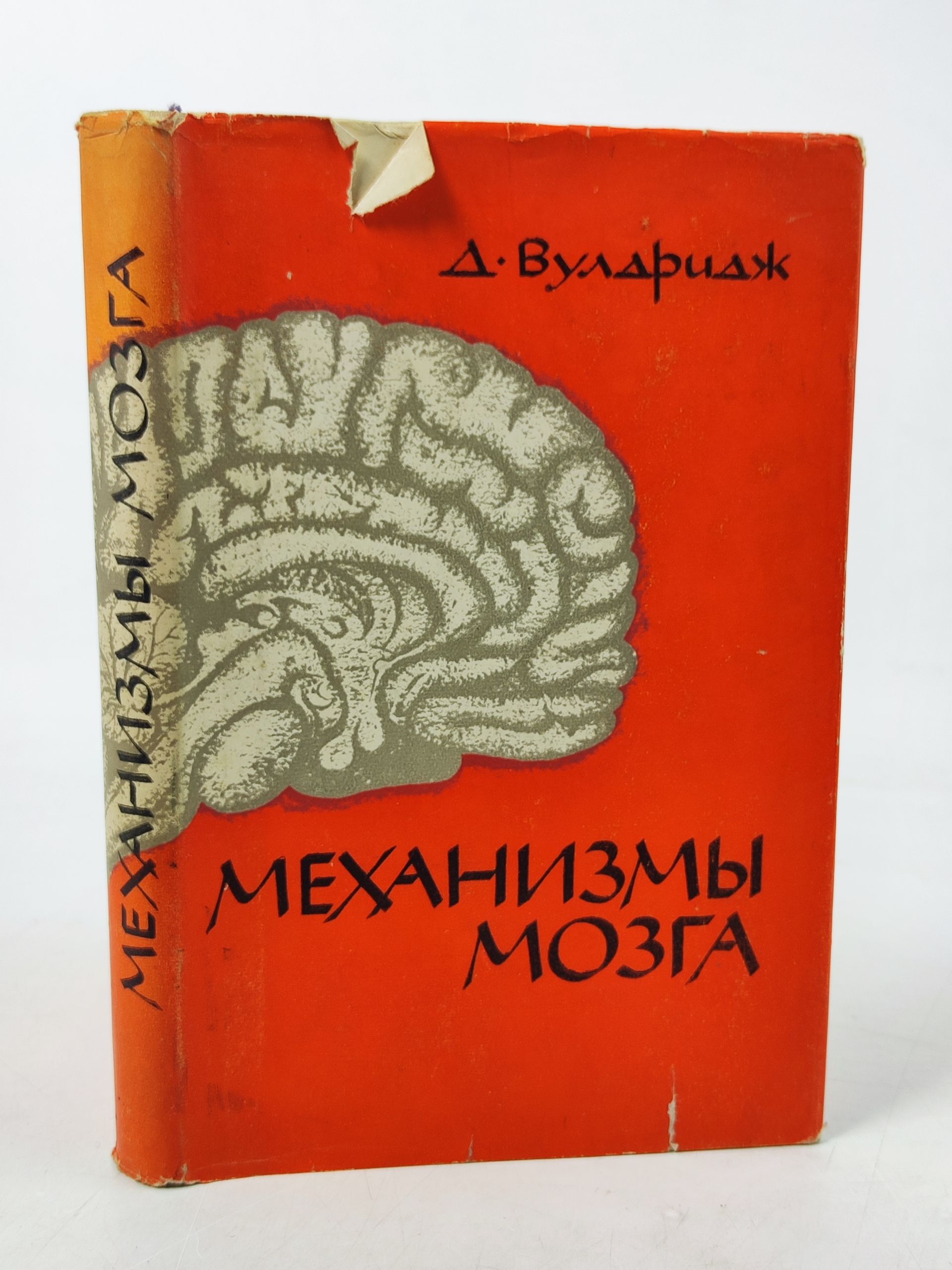Обложка: Механизмы мозга