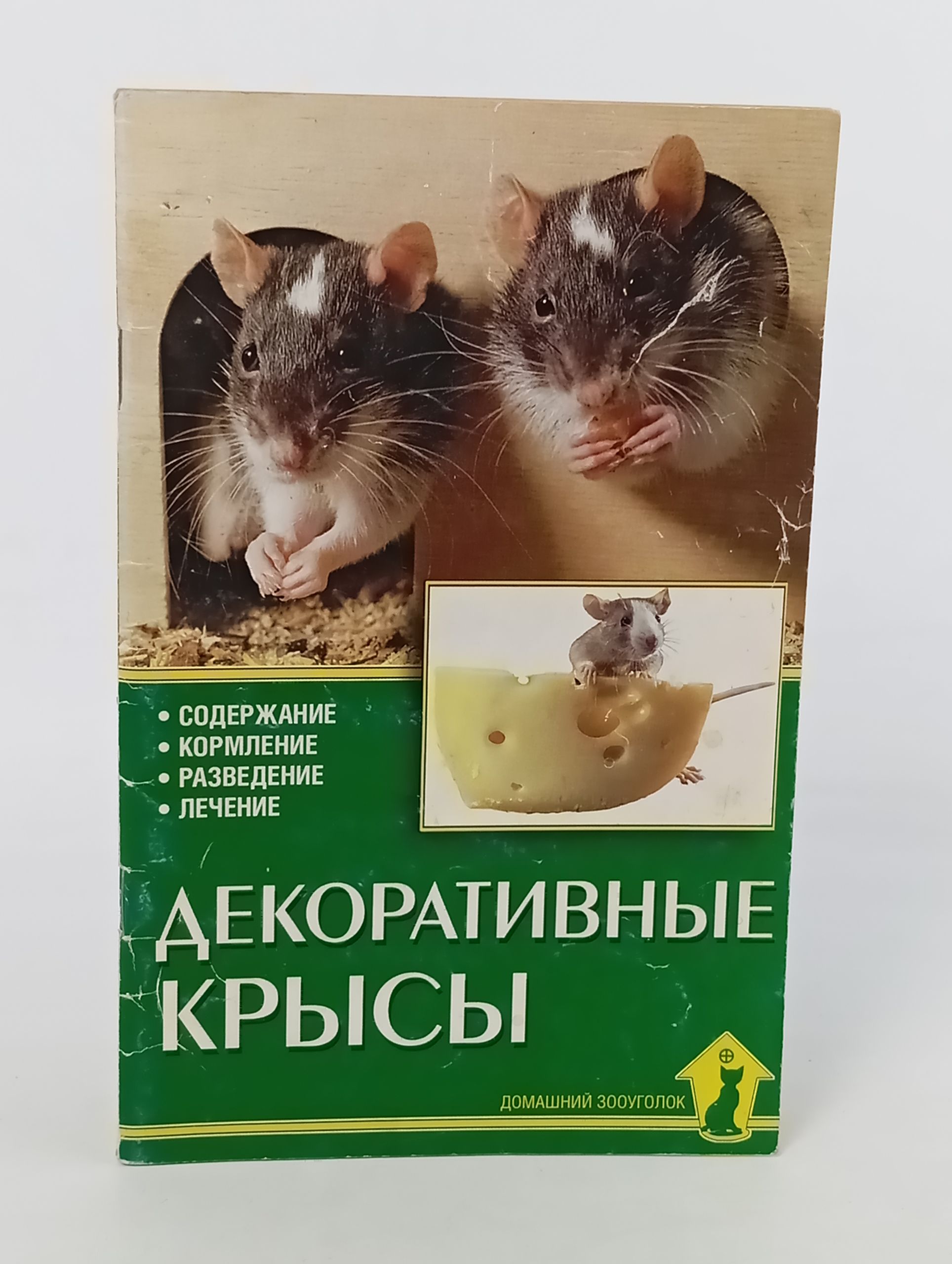 Обложка: Декоративные крысы