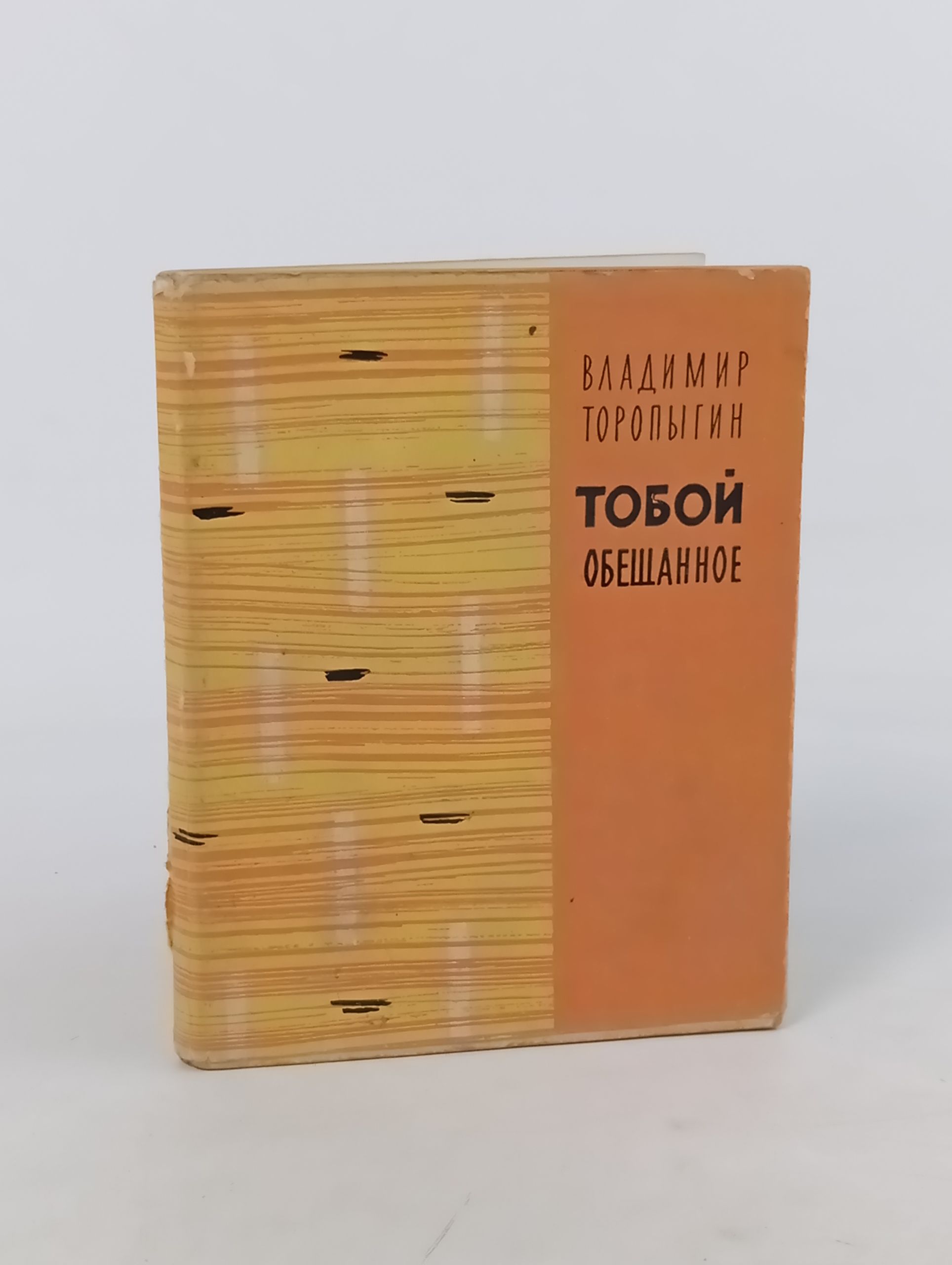 Обложка: Тобои обещанное