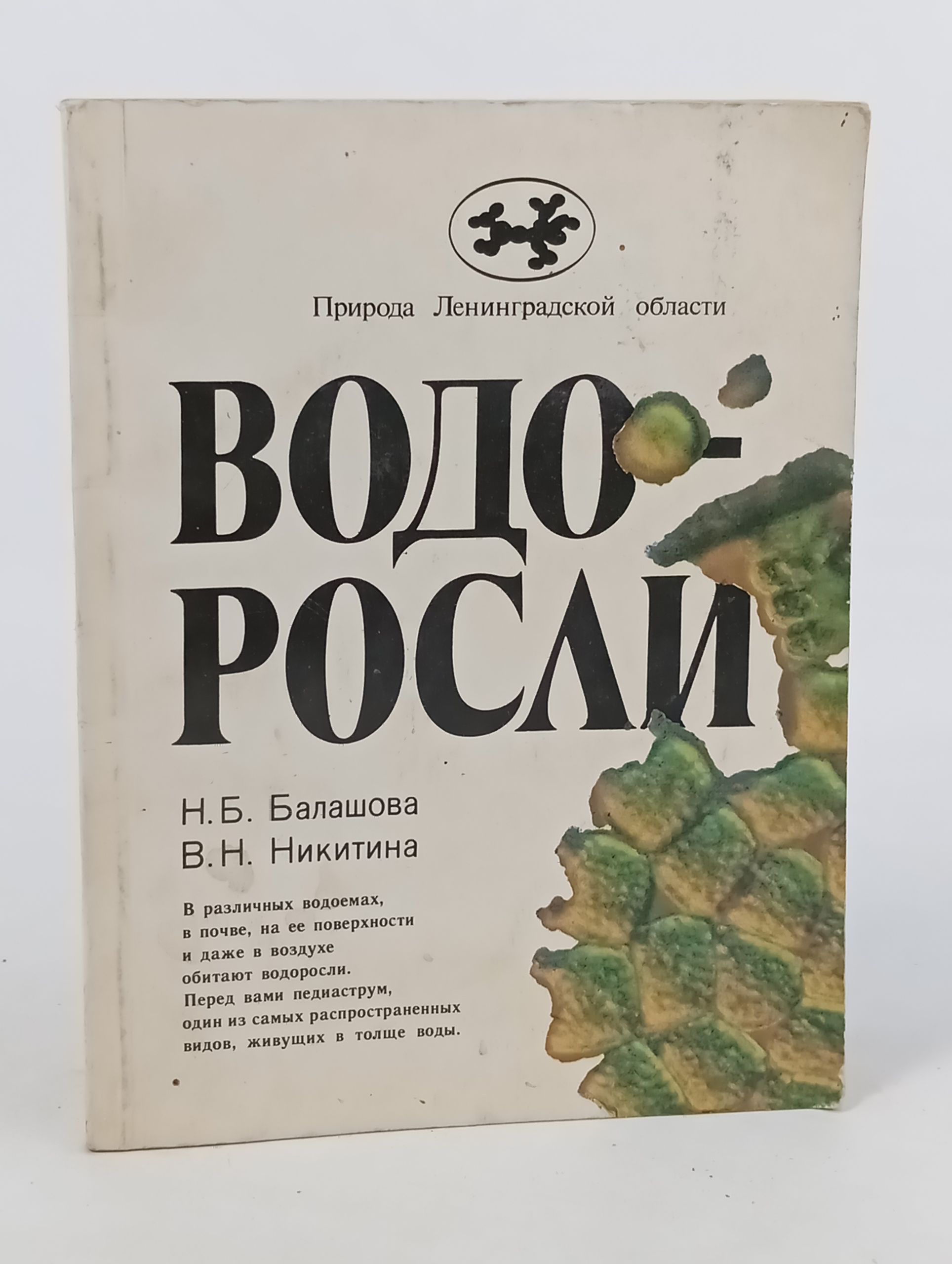 Обложка: Водоросли