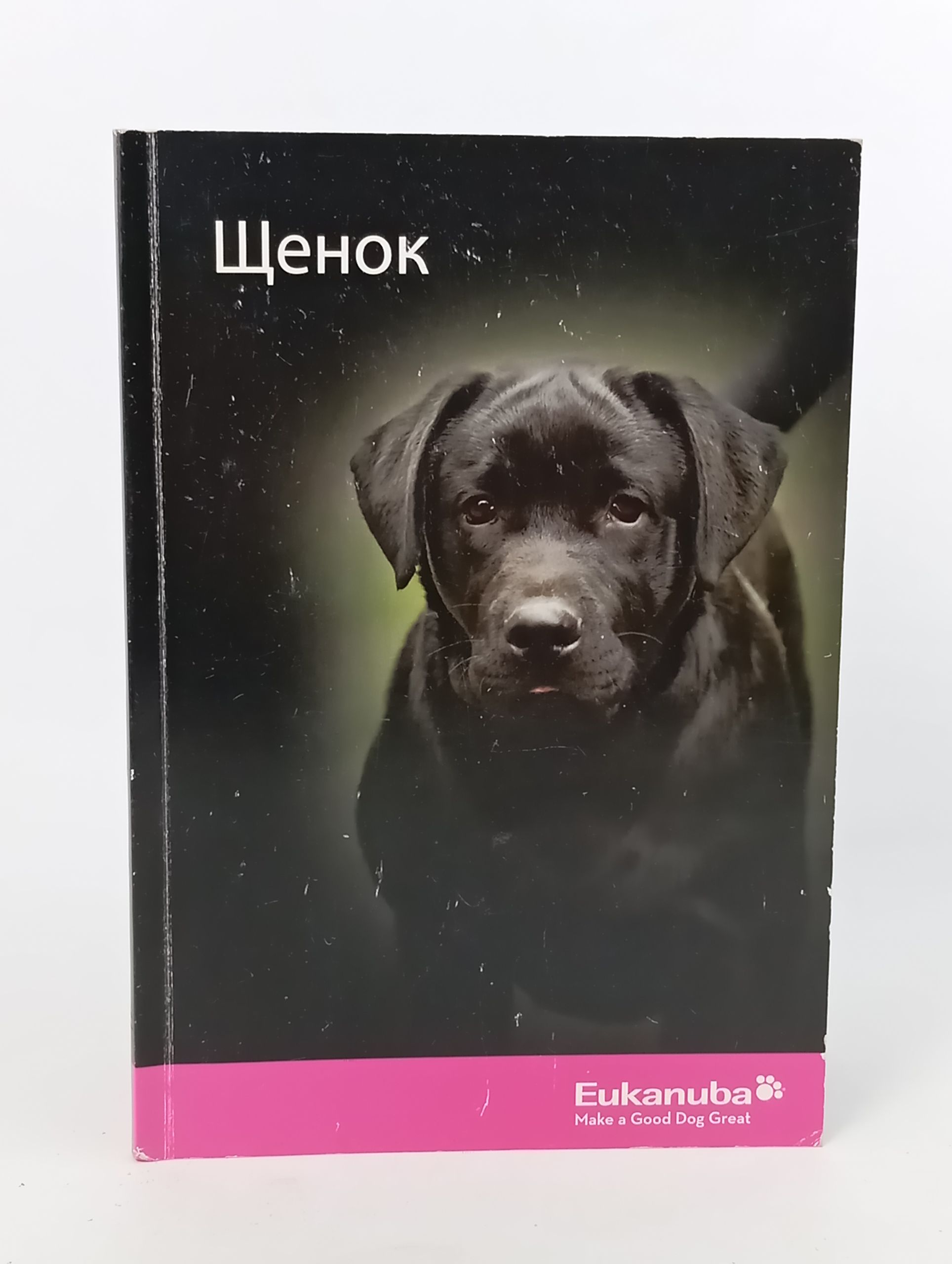 Обложка: Щенок