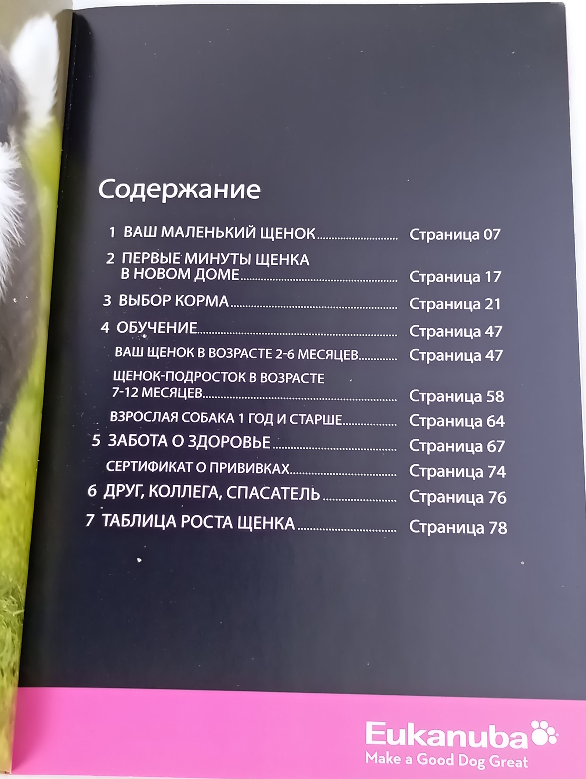 Щенок