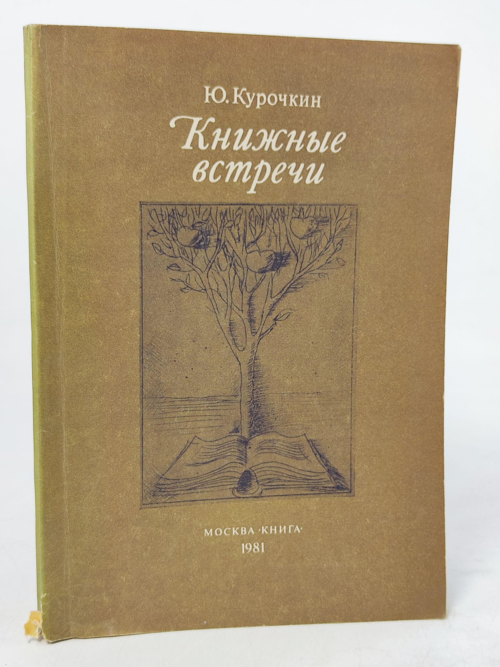 Обложка: Книжные встречи