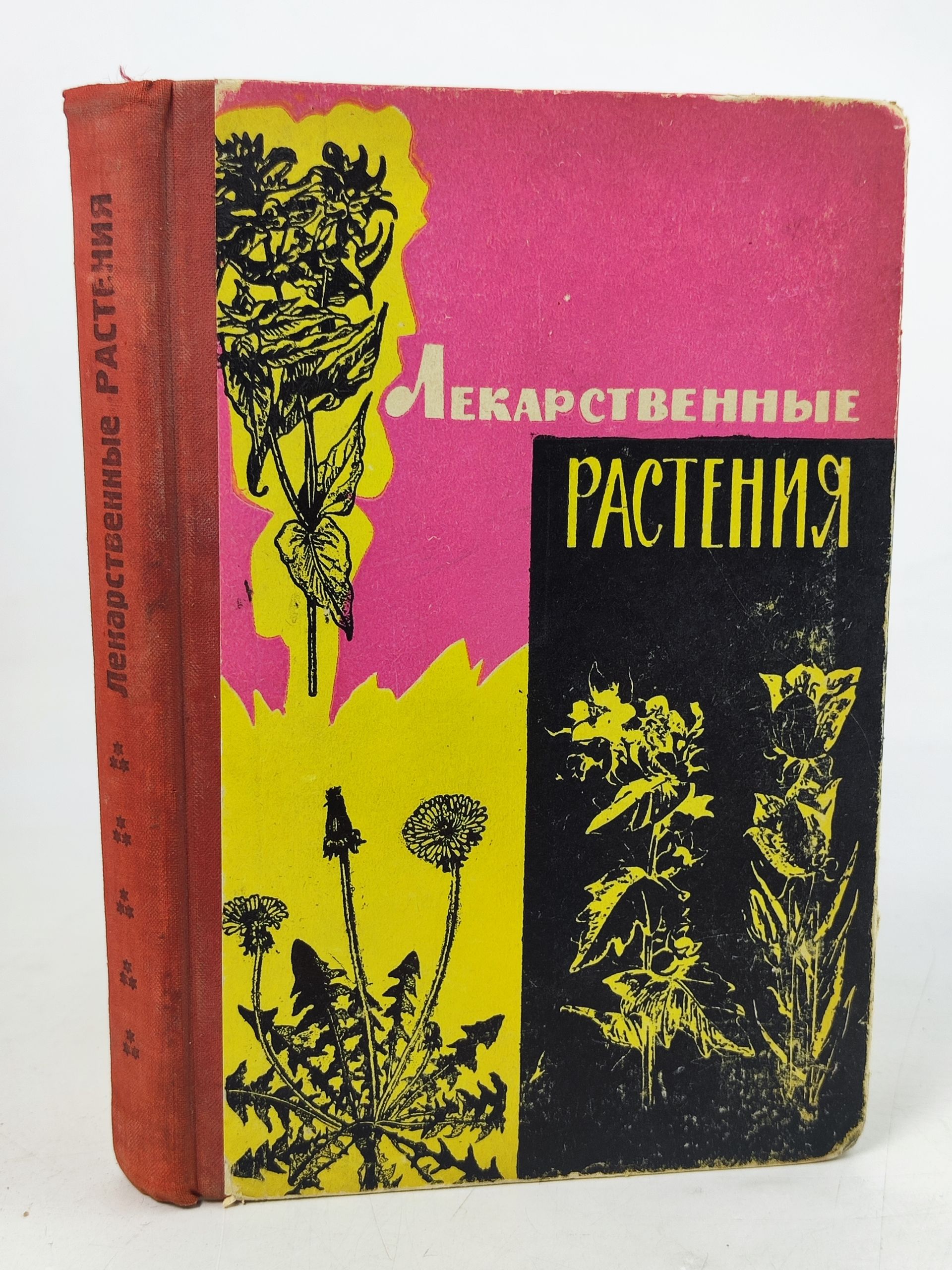 Обложка: Лекарственные растения дикорастущие
