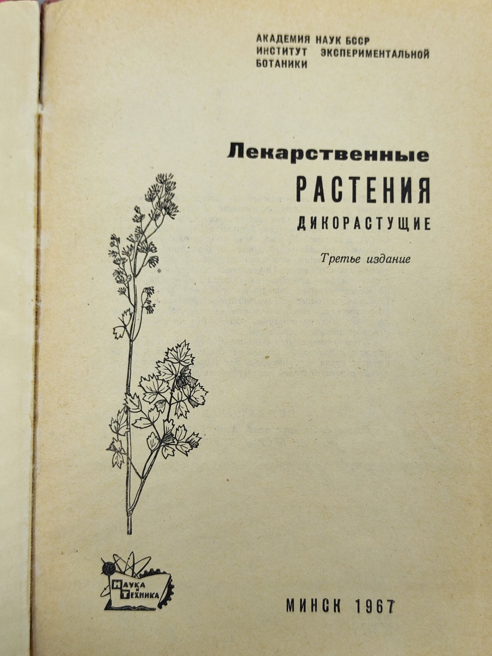 Лекарственные растения дикорастущие