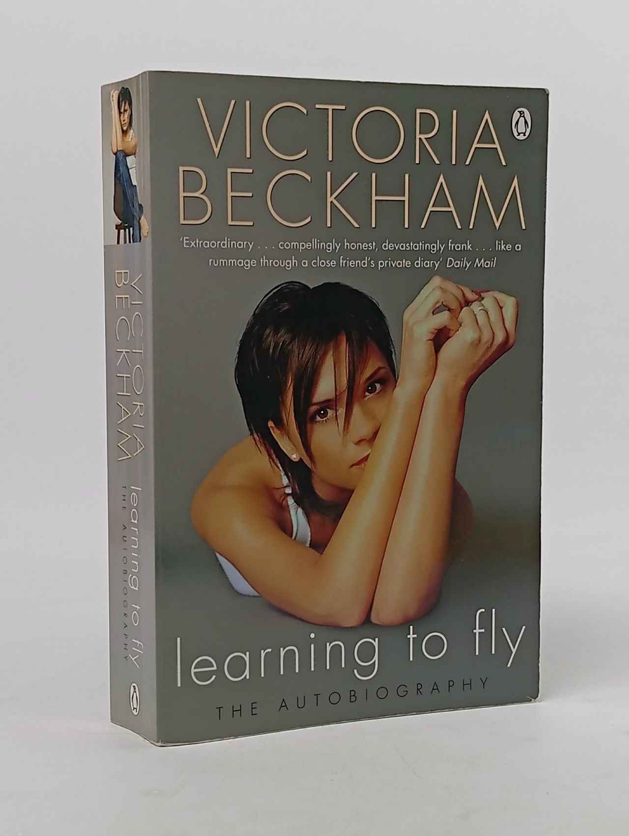 Обложка: Learning to Fly