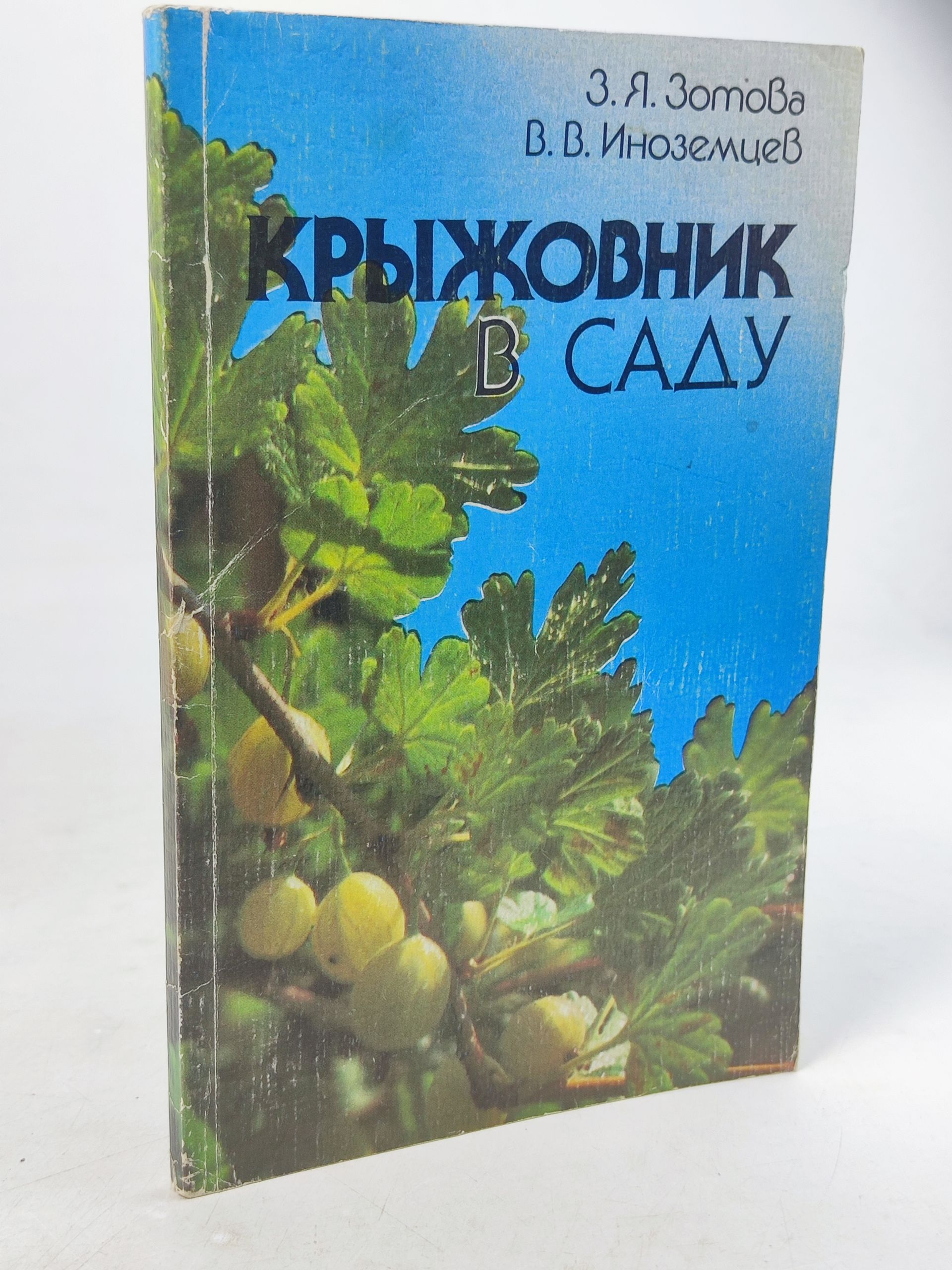 Обложка: Крыжовник в саду