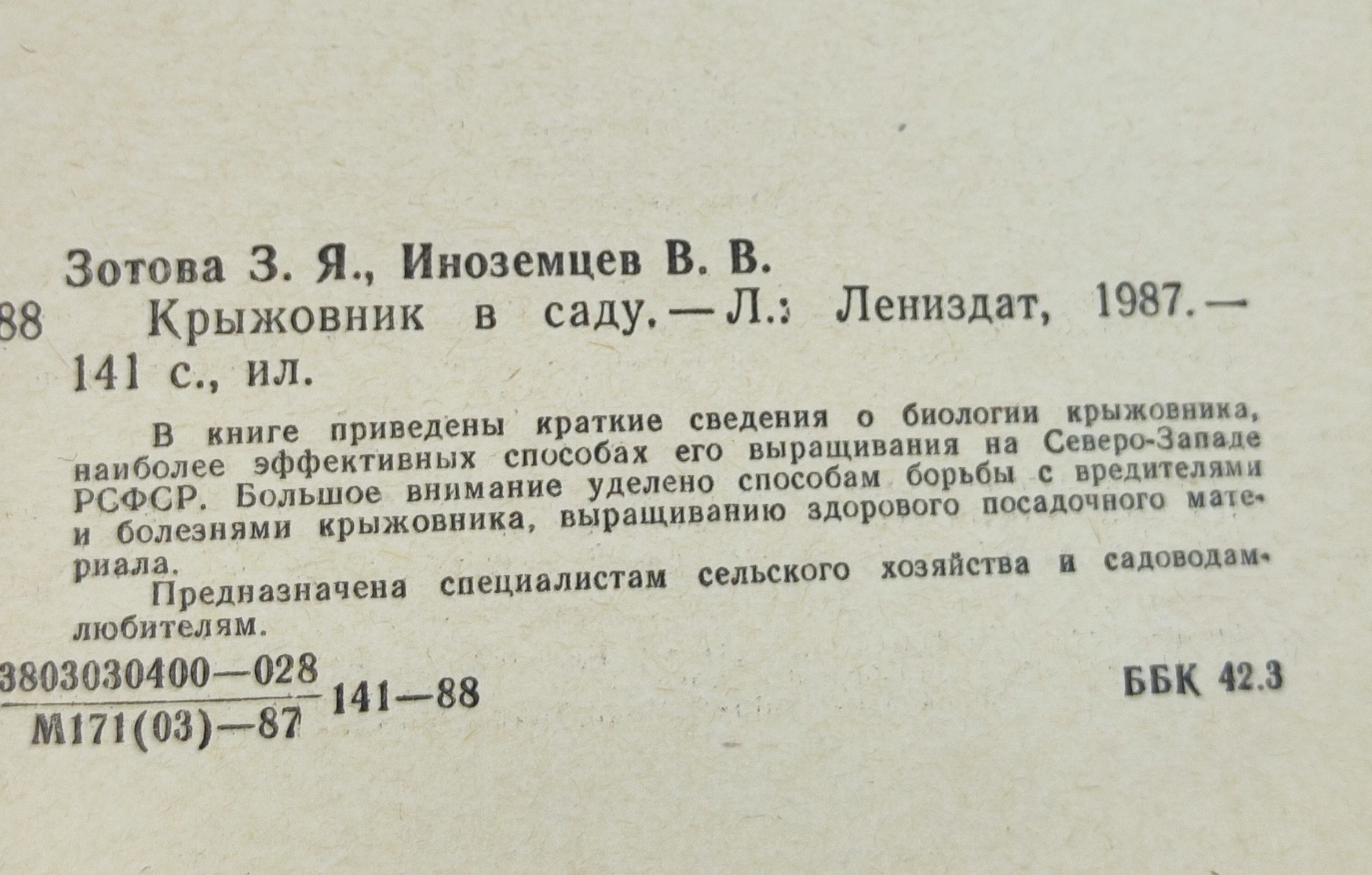 Крыжовник в саду