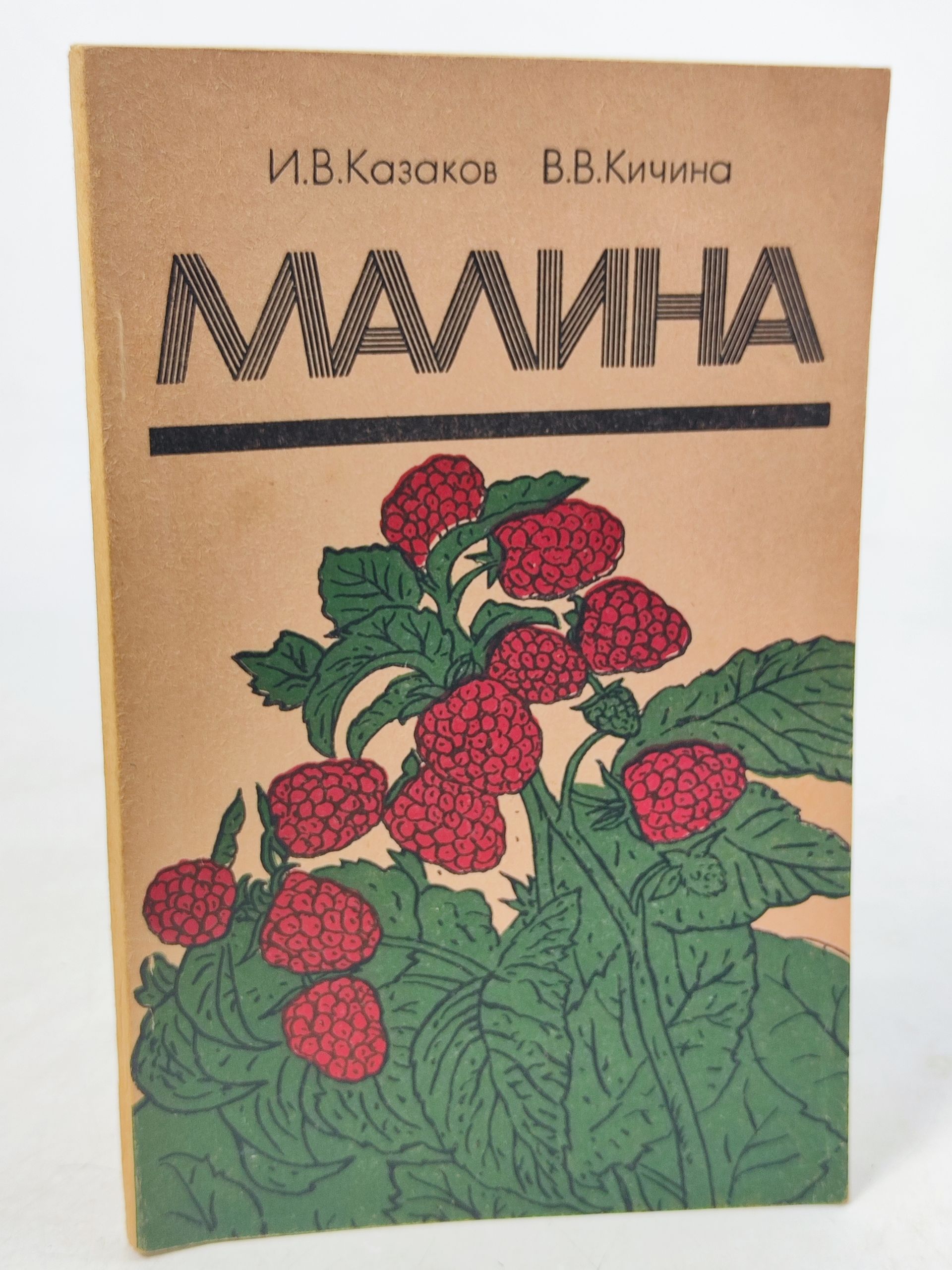 Обложка: Малина. Казаков Иван Васильевич, Кичина Василии Витальевич