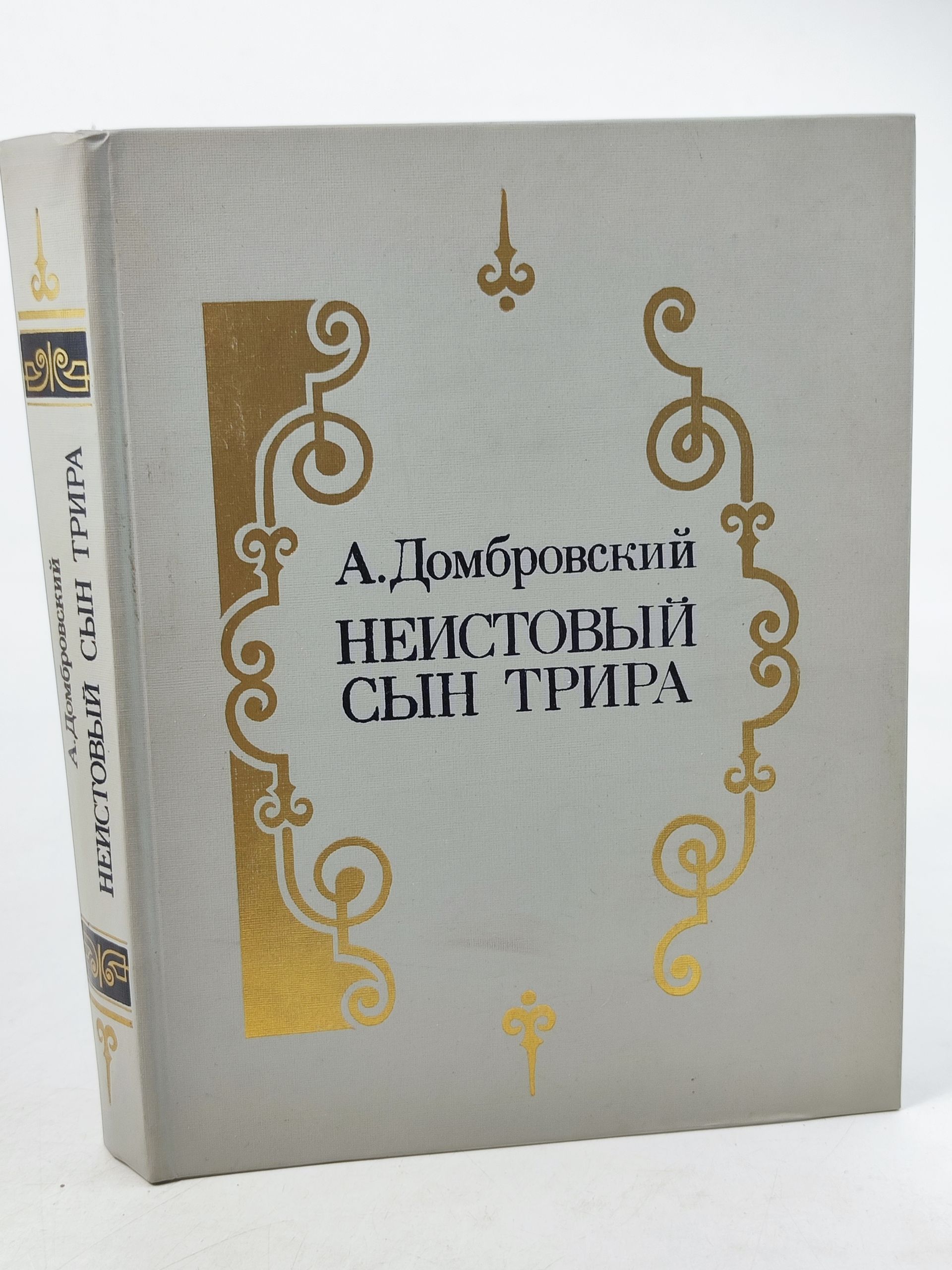 Обложка: Неистовыи сын Трира