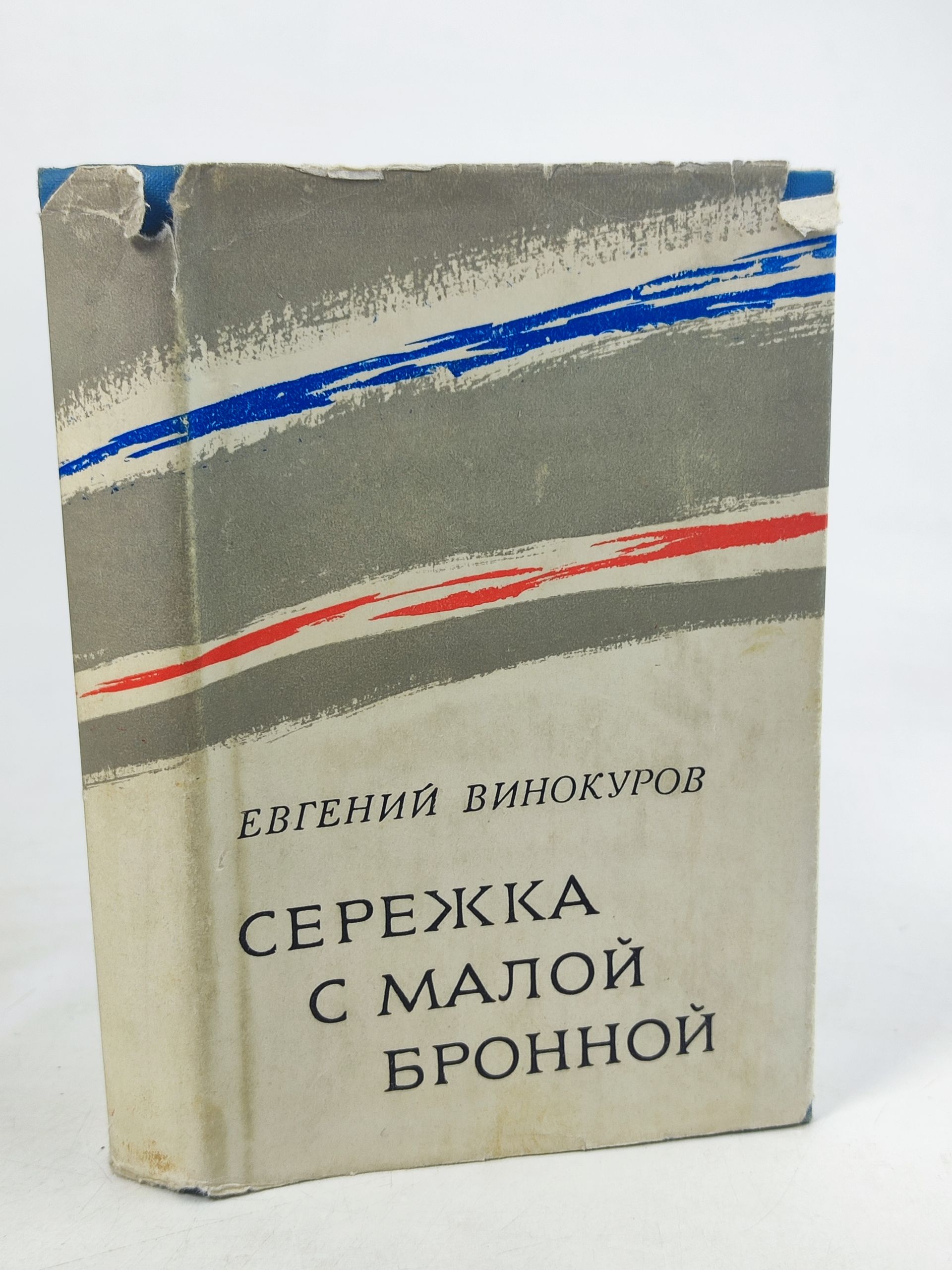 Обложка: Сережка с Малои Броннои