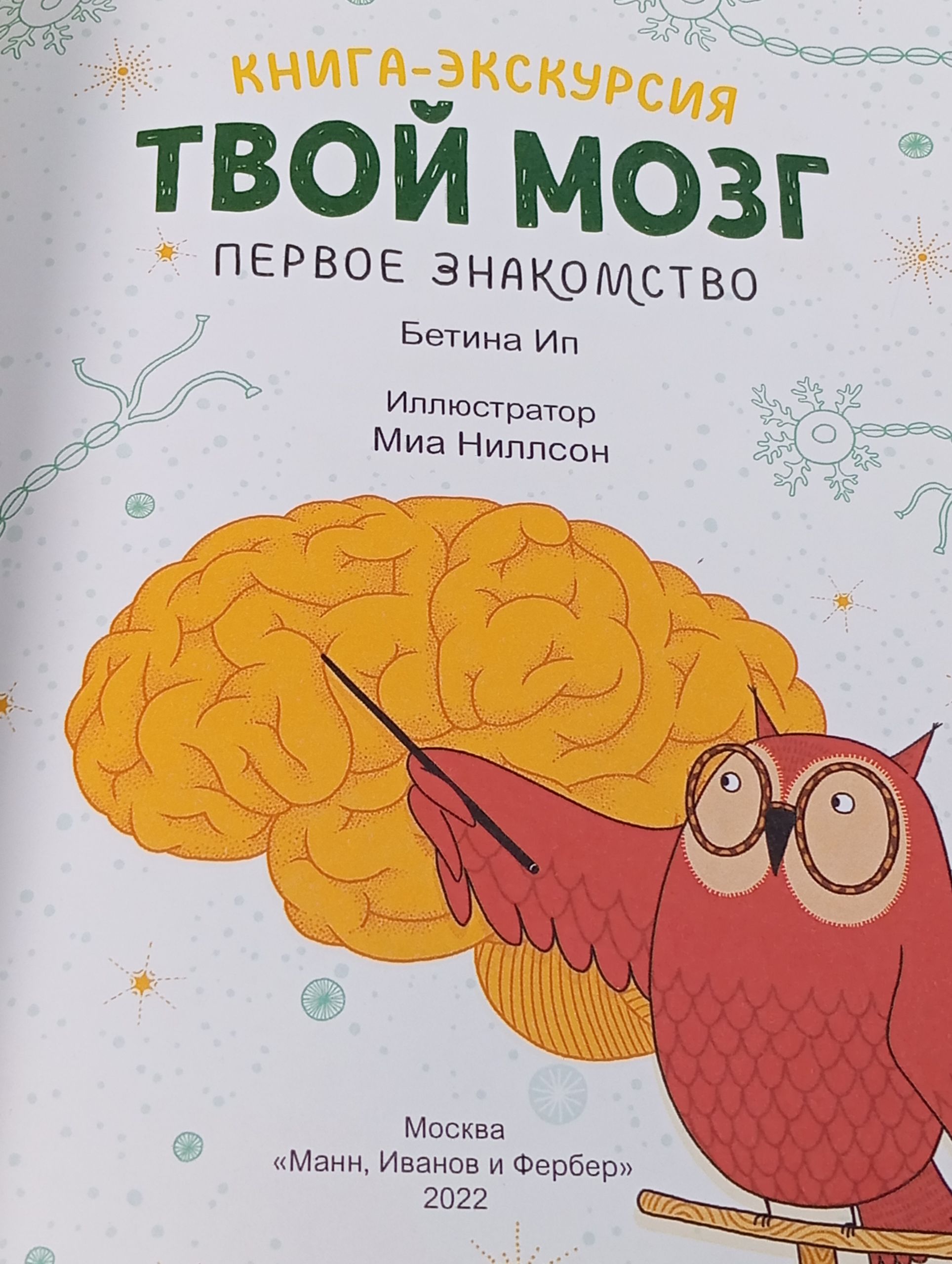 Твой мозг. Первое знакомство. Книга-экскурсия