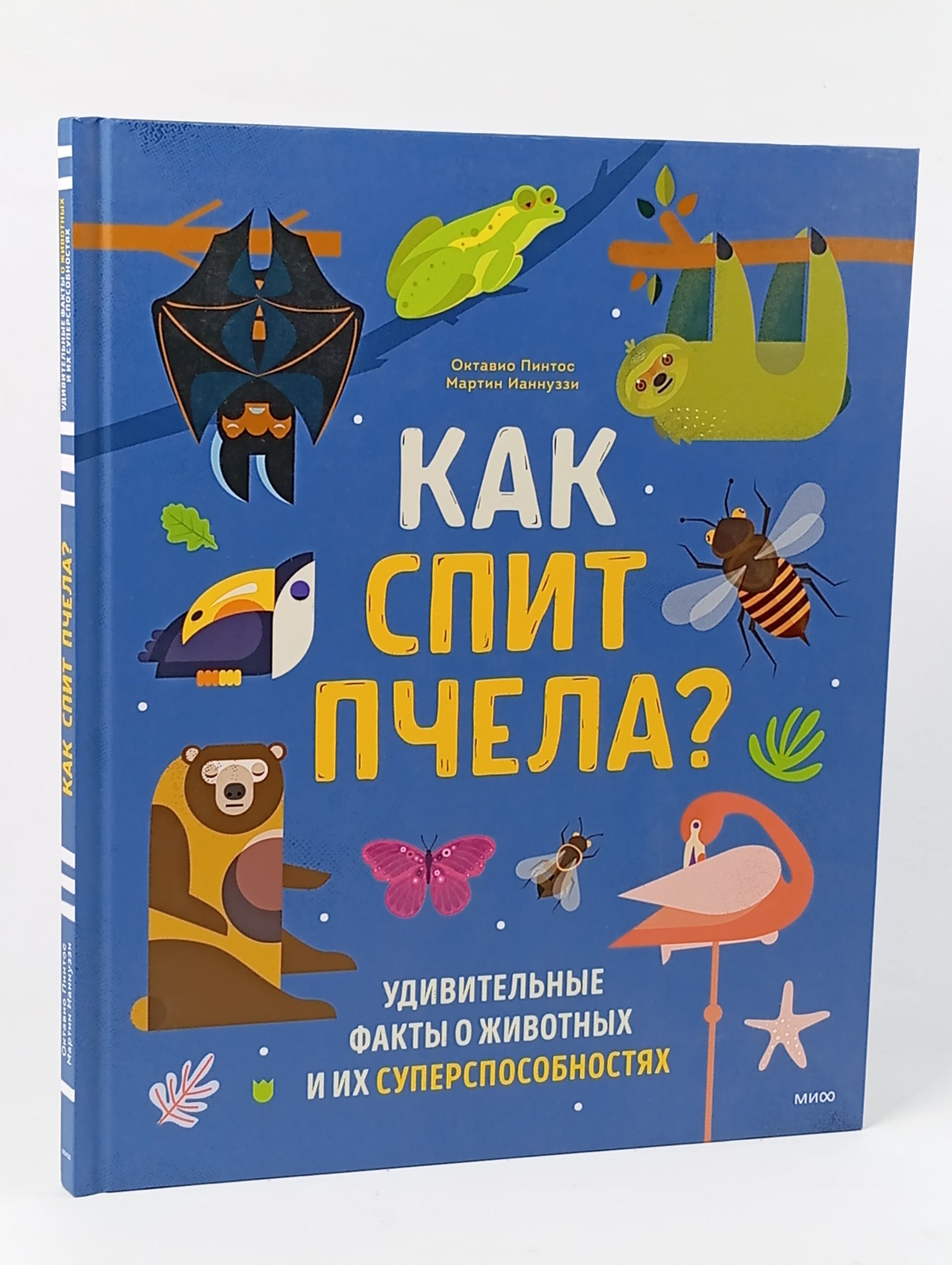 Обложка: Как спит пчела? Удивительные факты о животных и их суперспособностях