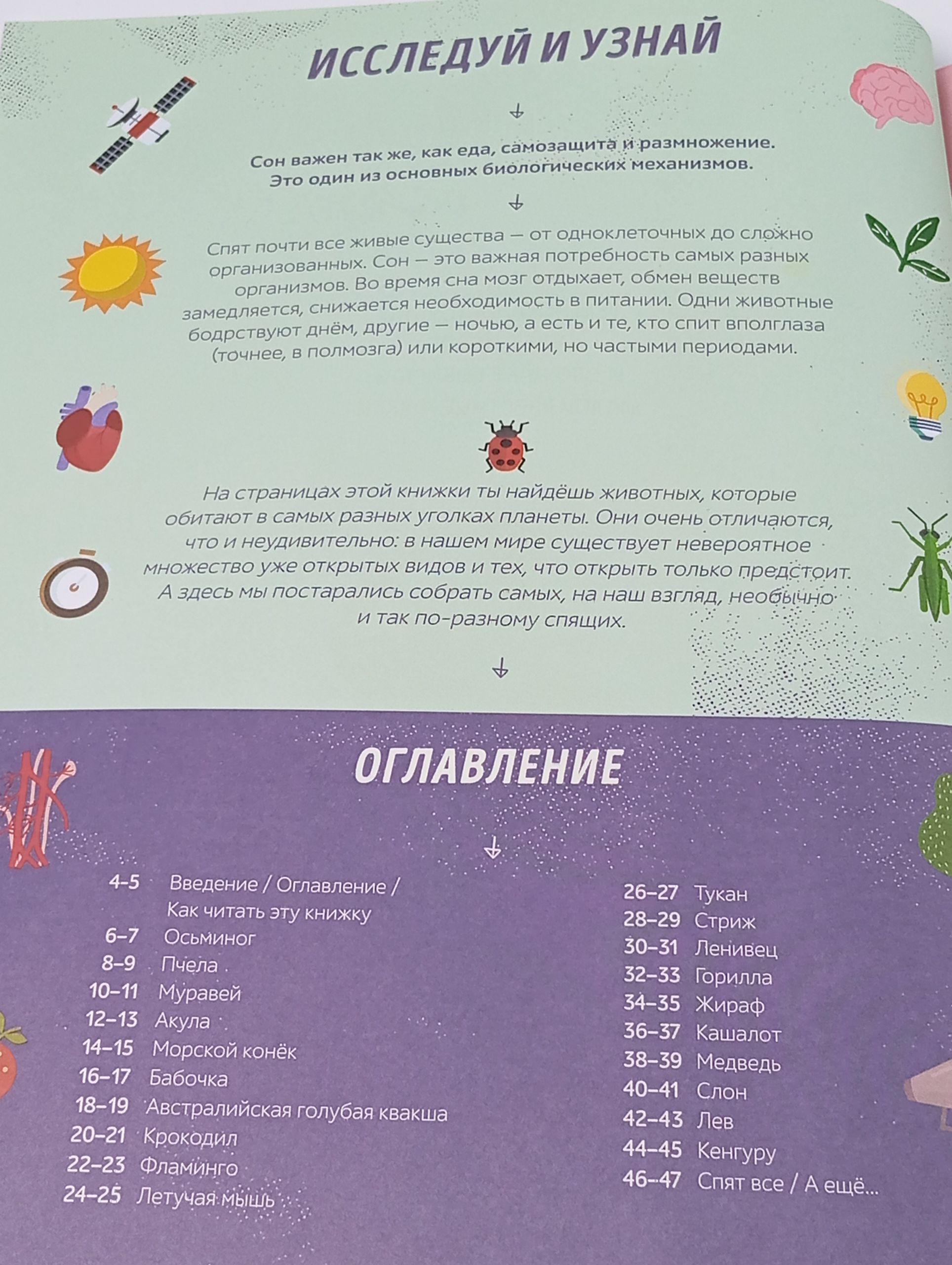 Как спит пчела? Удивительные факты о животных и их суперспособностях