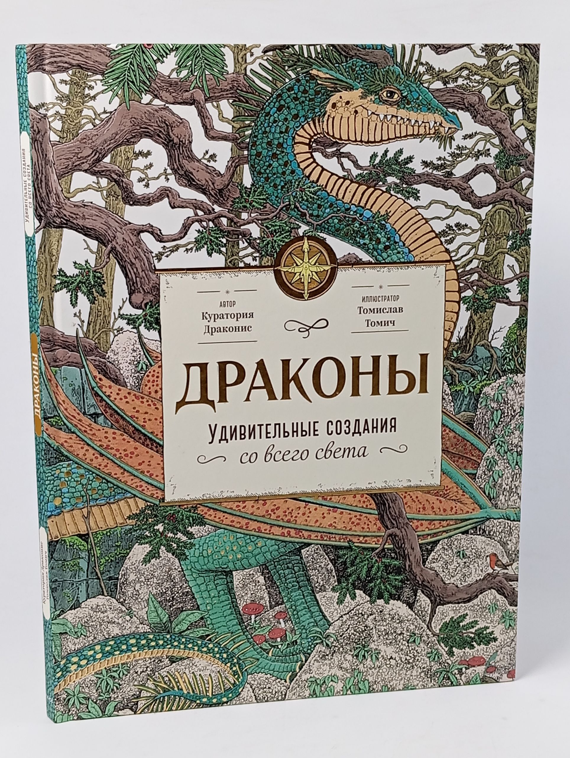 Обложка: Драконы. Удивительные создания со всего света