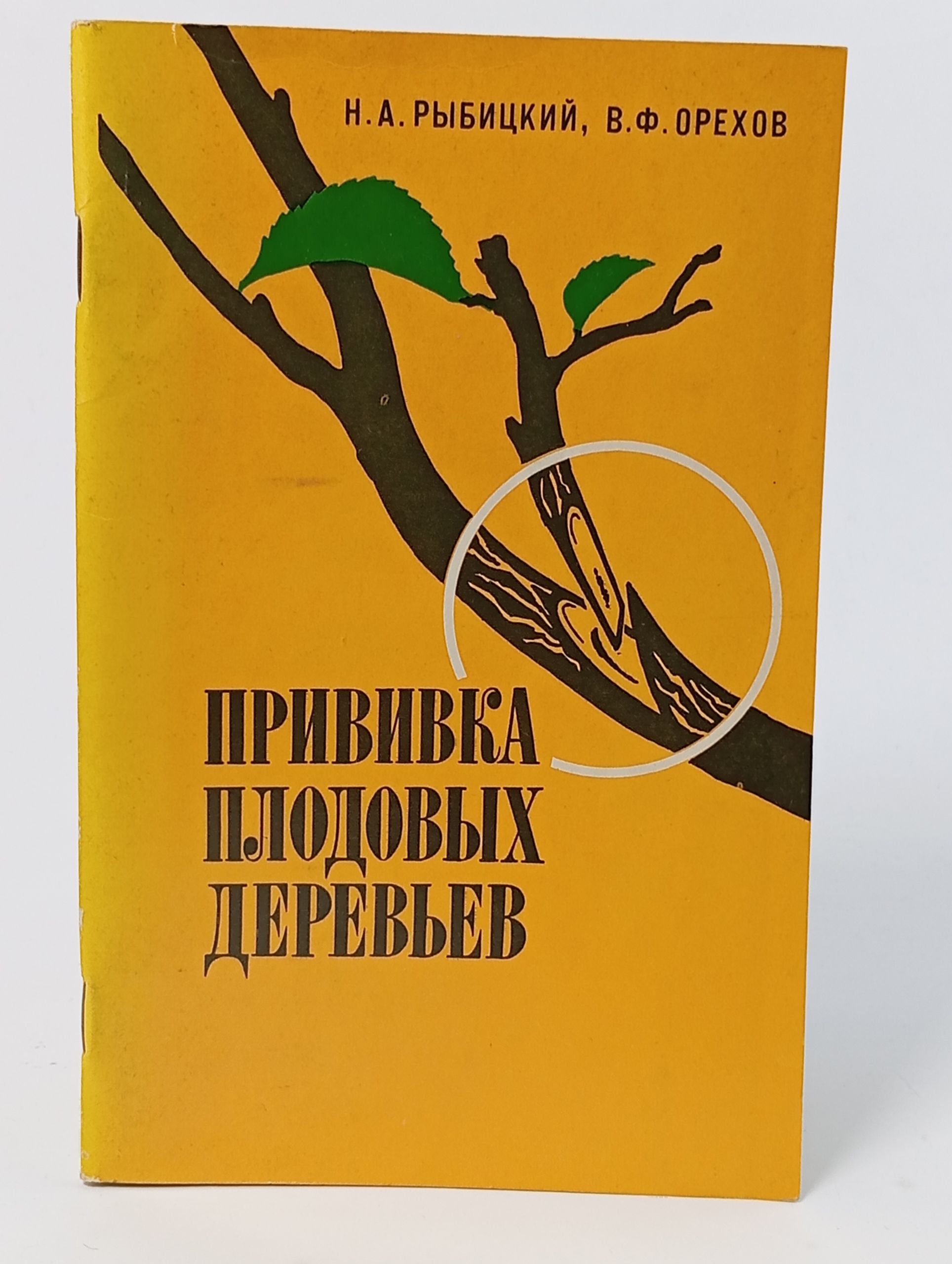 Обложка: Прививка плодовых деревьев