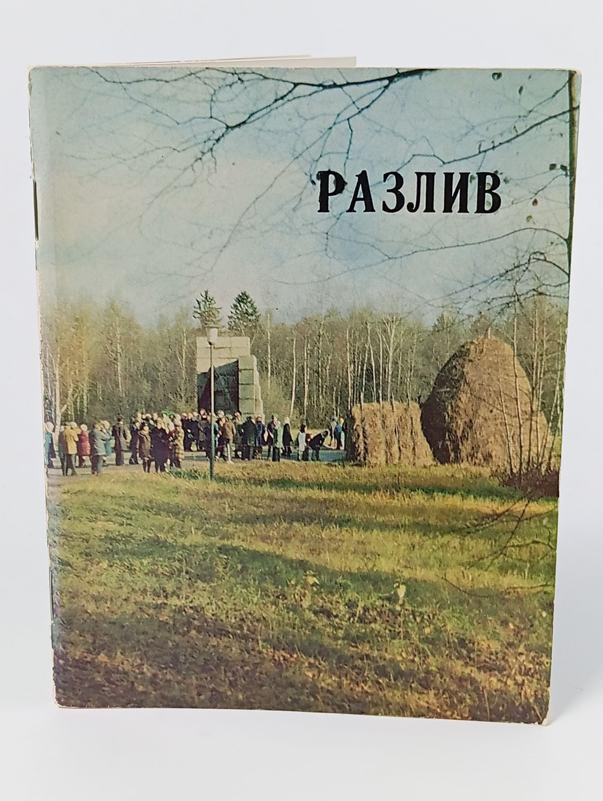 Обложка: Разлив