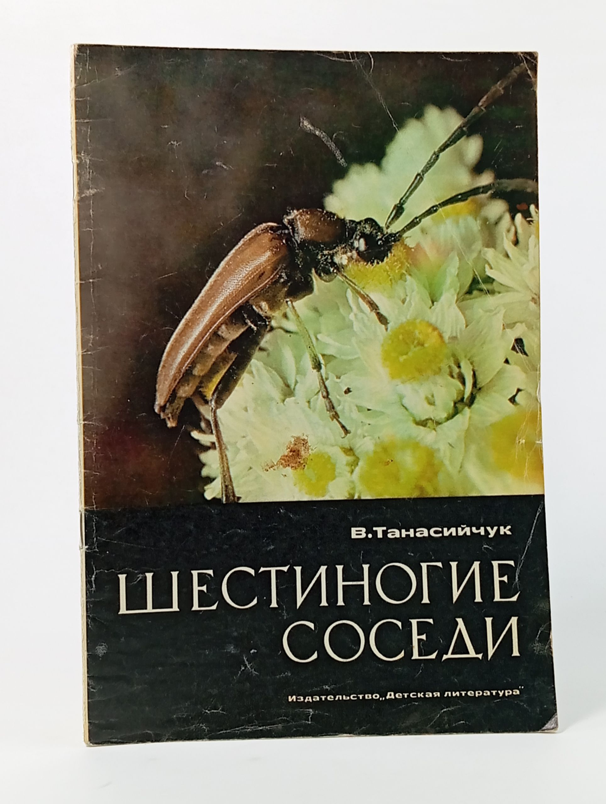 Обложка: Шестиногие соседи